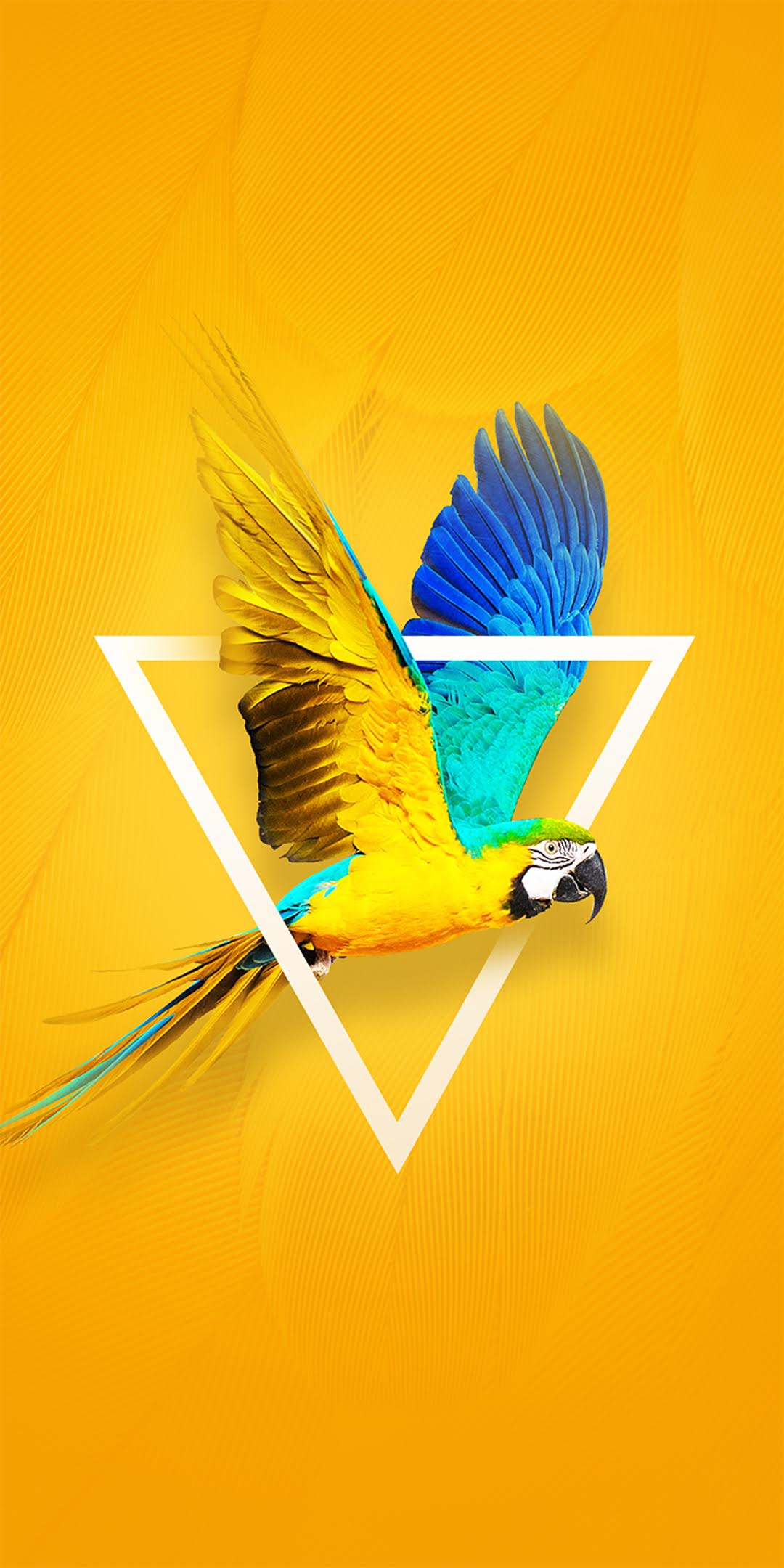 Techno Camon X Stock Yellow Bird Triangle wallpaper for Apple iPhone, Apple Watch, Mac, iPad and Apple Watch