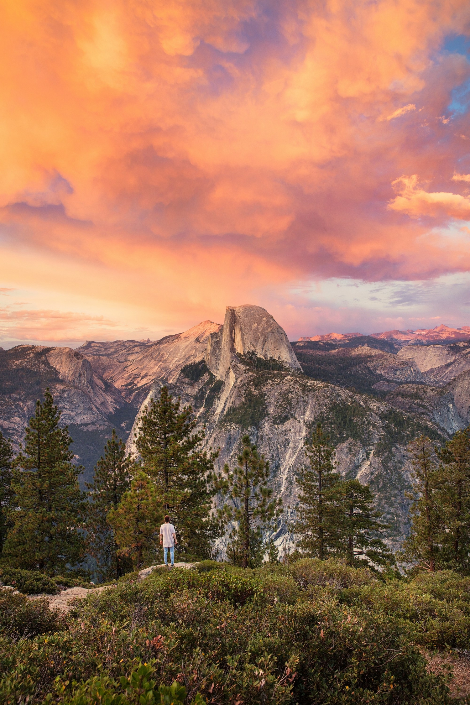 Vibrant Orange Pink Sunset Over Mountains Landscape With Trees