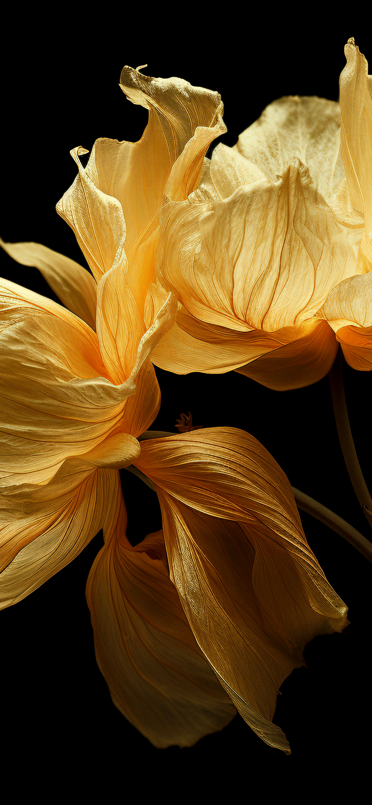 Yellow Flowers Flowing Material Flows Flowy Top Ultra HD Trending Desktop Wallpaper Images JPG PNG For iPhone And Android 4K 5K Screensavers Backgrounds