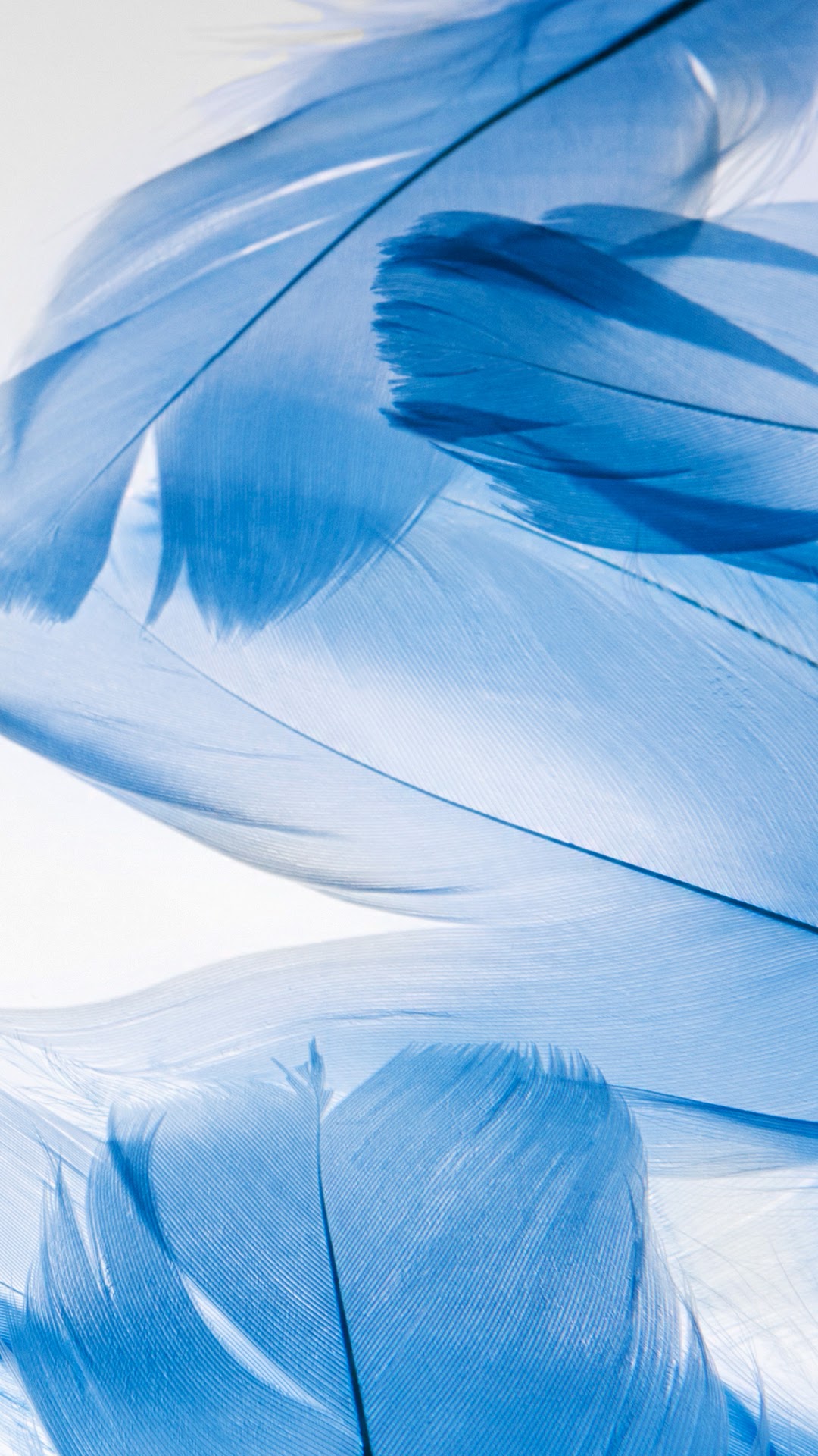 ZTE Nubia Z17 Blue Feathers Default