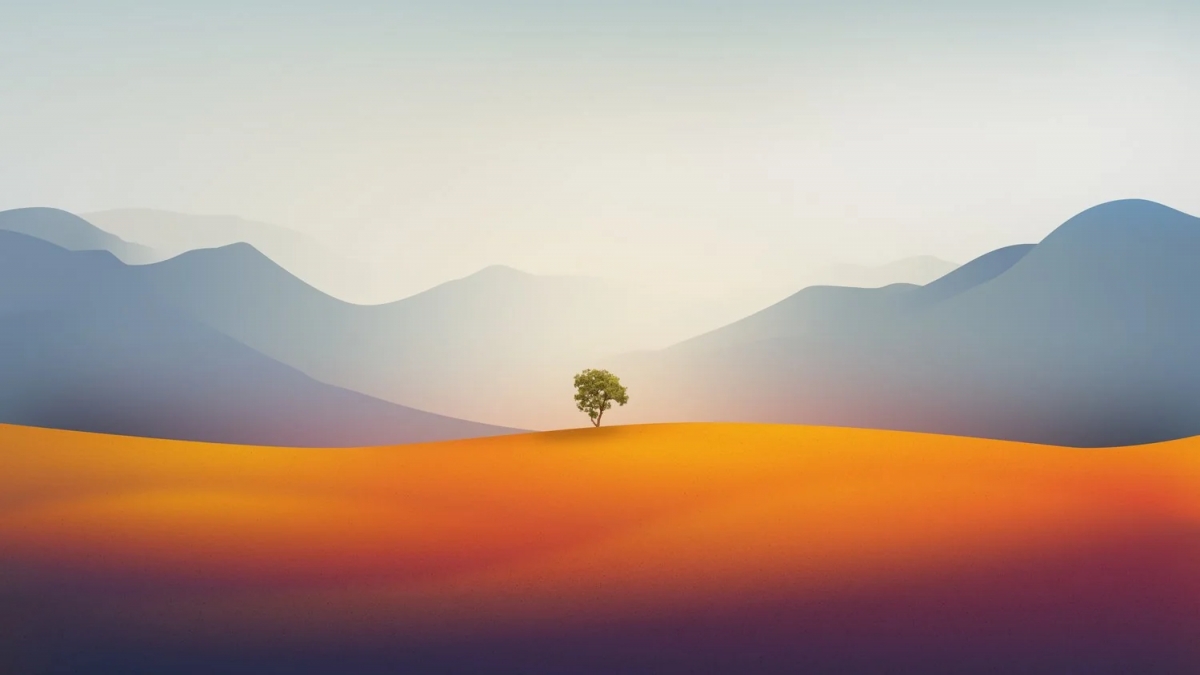 Single Lonely Tree In The Desert