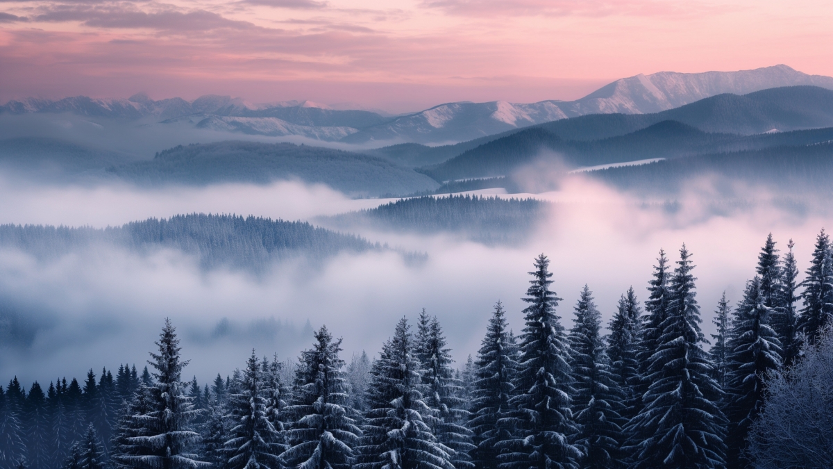 Snowcapped Trees In Slovakia 4K HD wallpaper for Apple iPhone, Apple Watch, Mac, iPad and Apple Watch