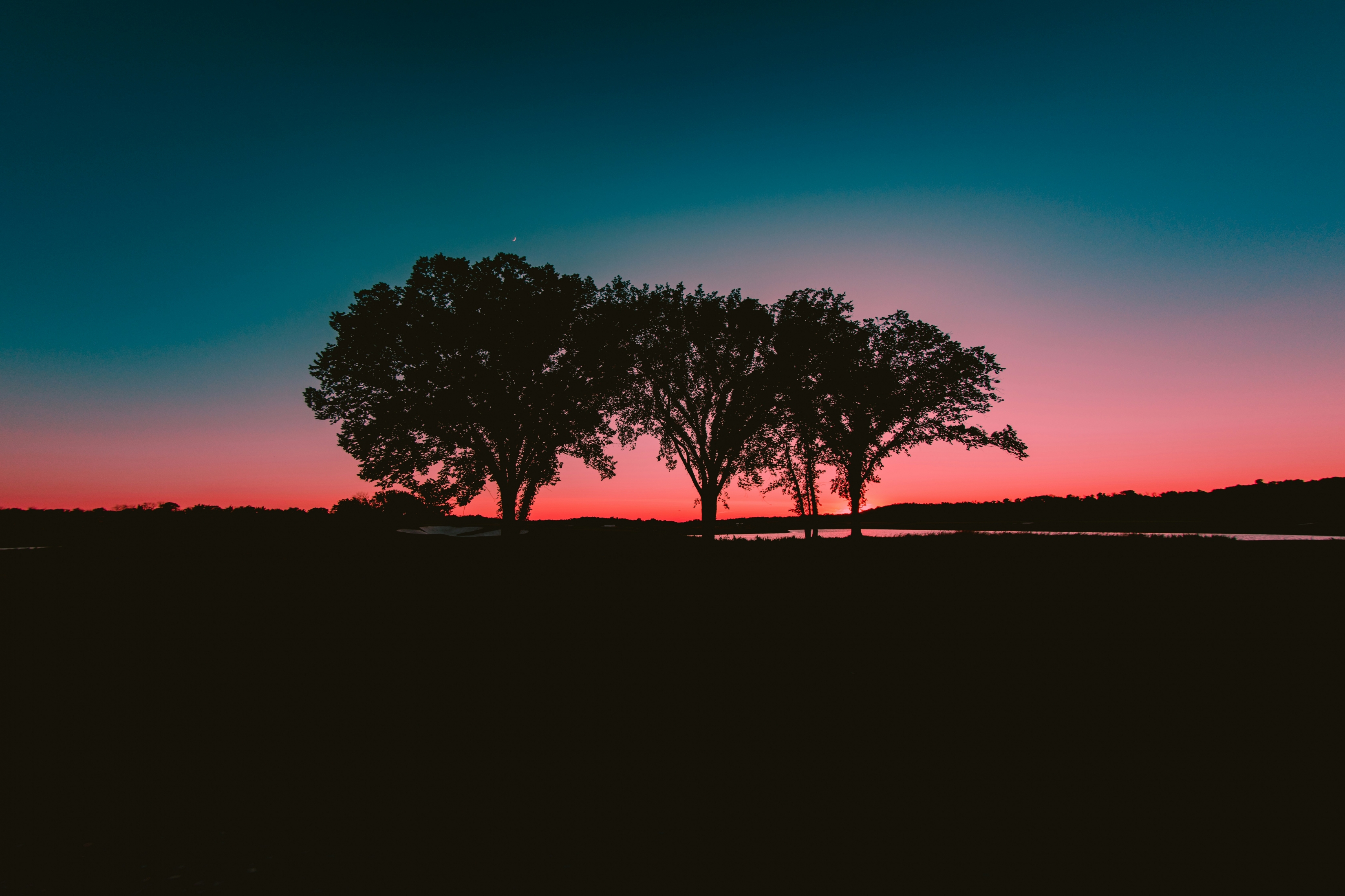 A Group Of Trees Silhouette Against A Vibrant Blue And Pink Peach Color Sunset Sky wallpaper for Apple iPhone, Apple Watch, Mac, iPad and Apple Watch