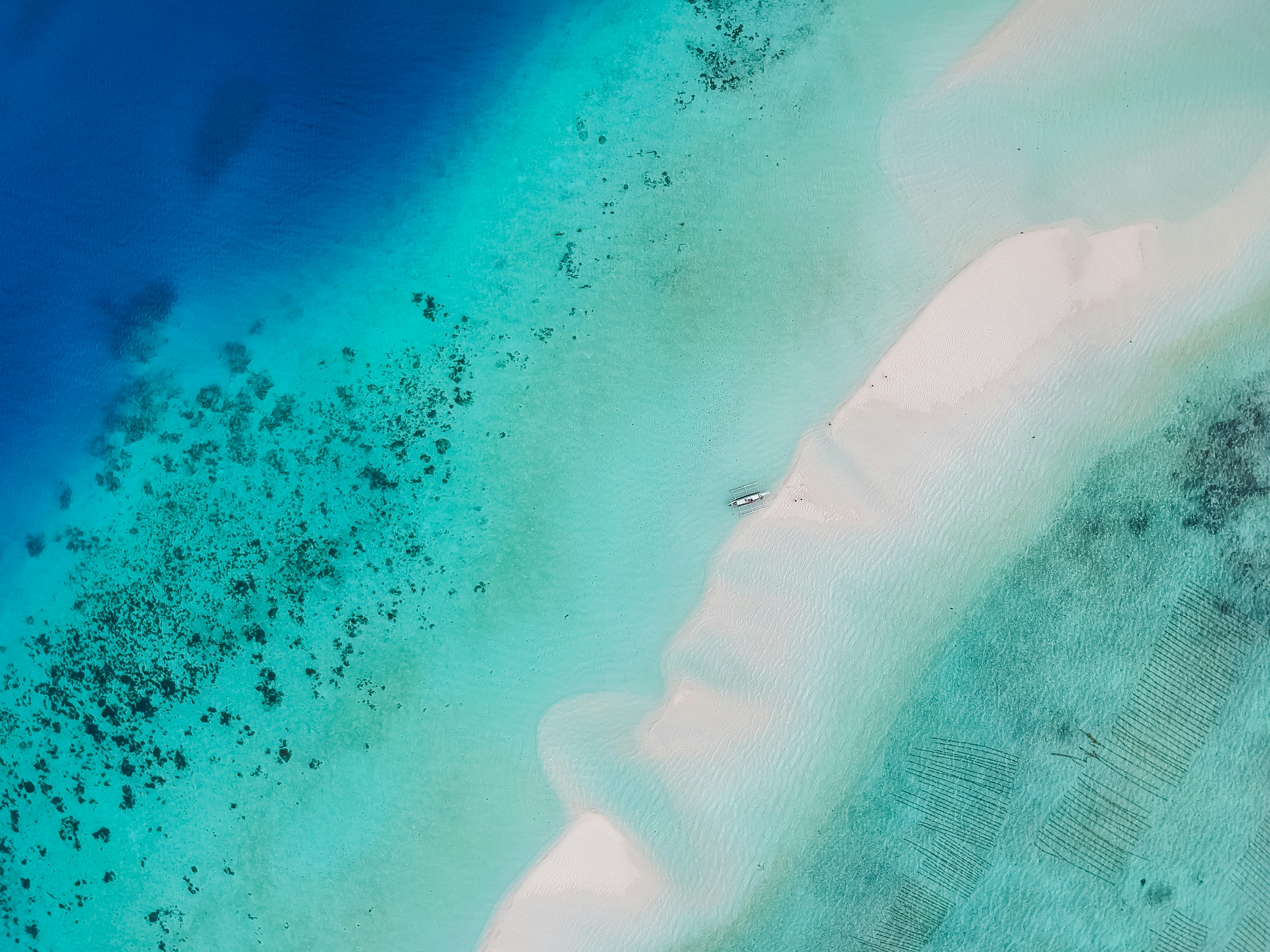 Beautiful White Sand Beach From Above