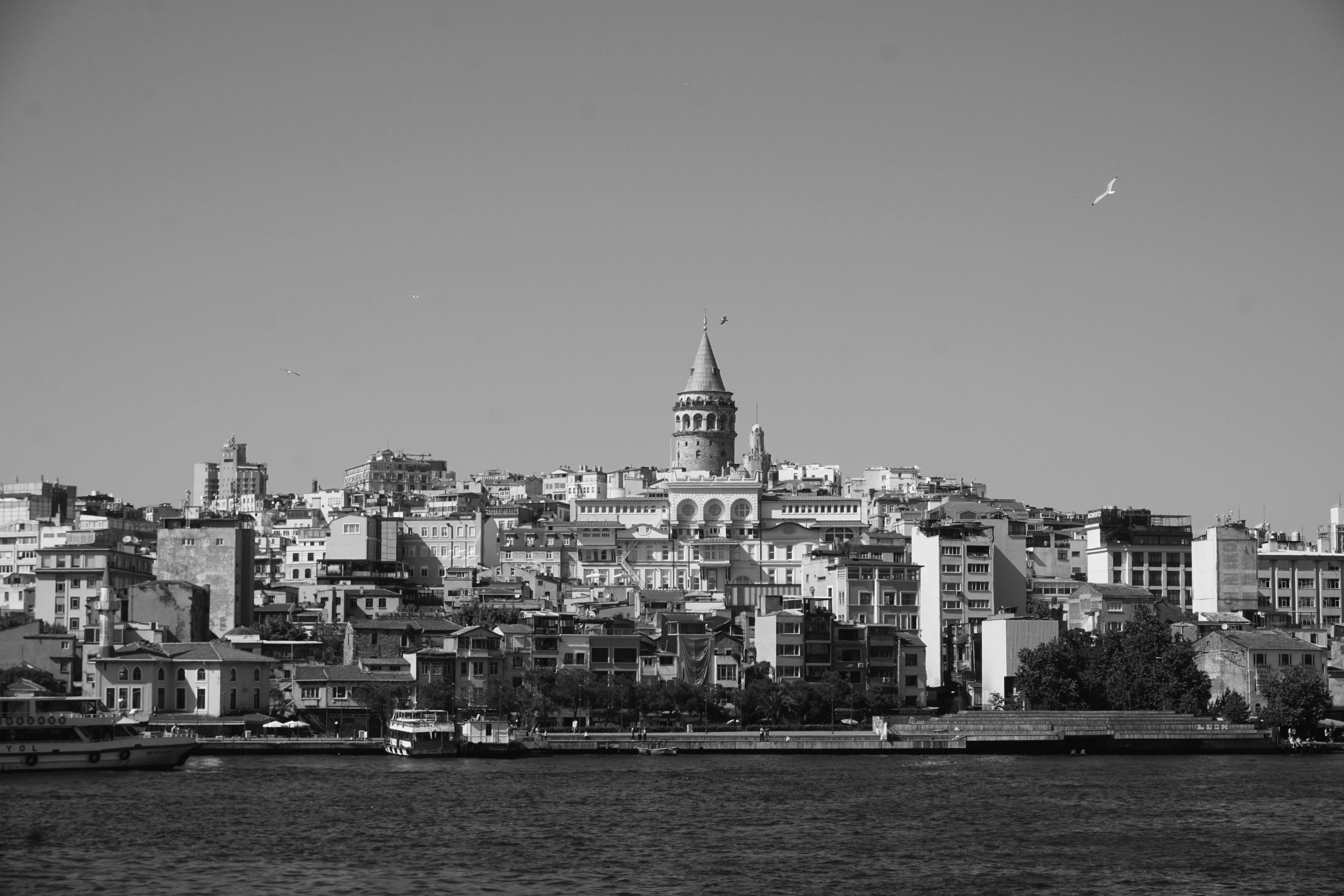 Black And White Classical Buildings Skyline wallpaper for Apple iPhone, Apple Watch, Mac, iPad and Apple Watch