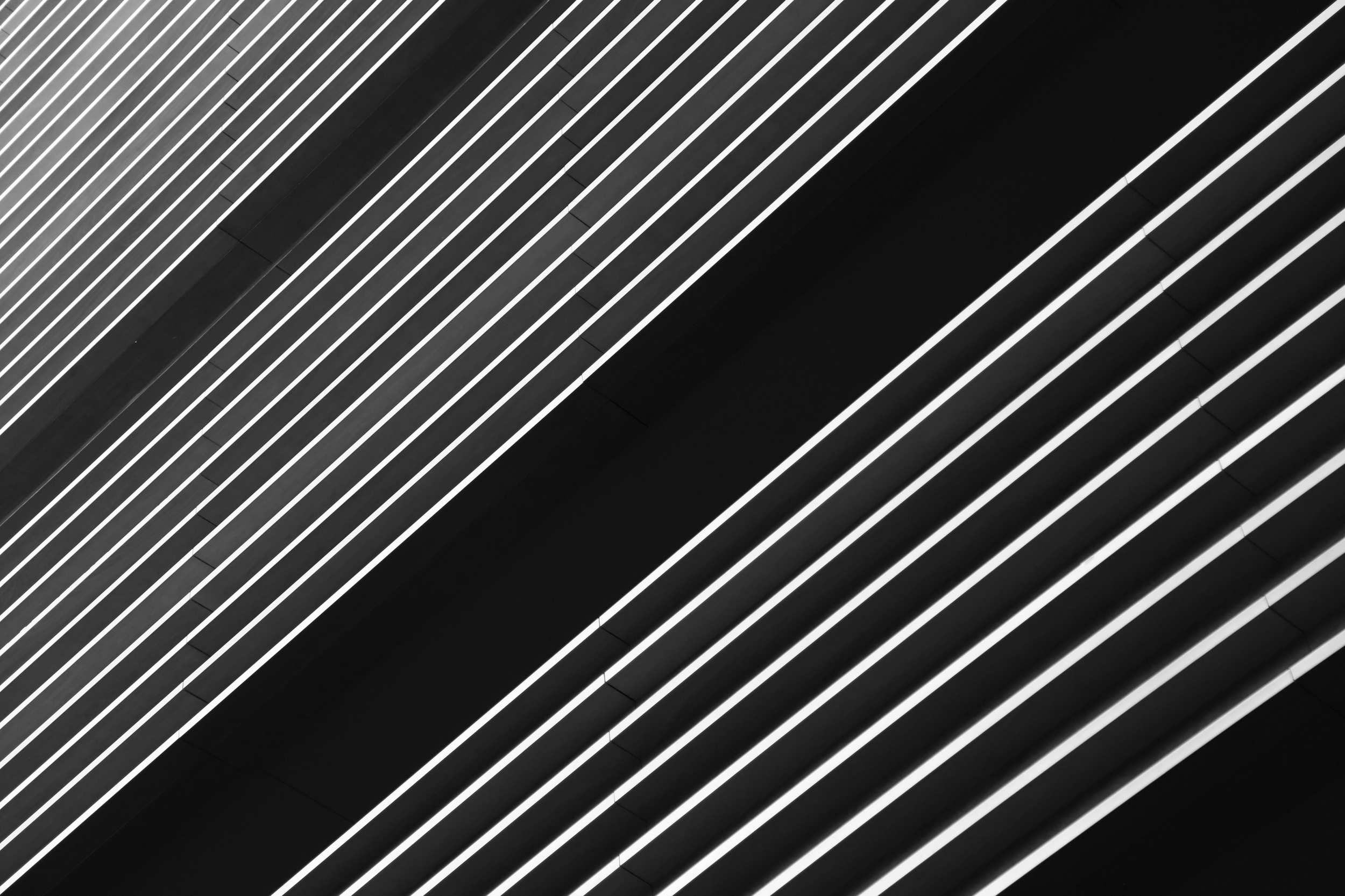 Black Lines Minimal Brutalist