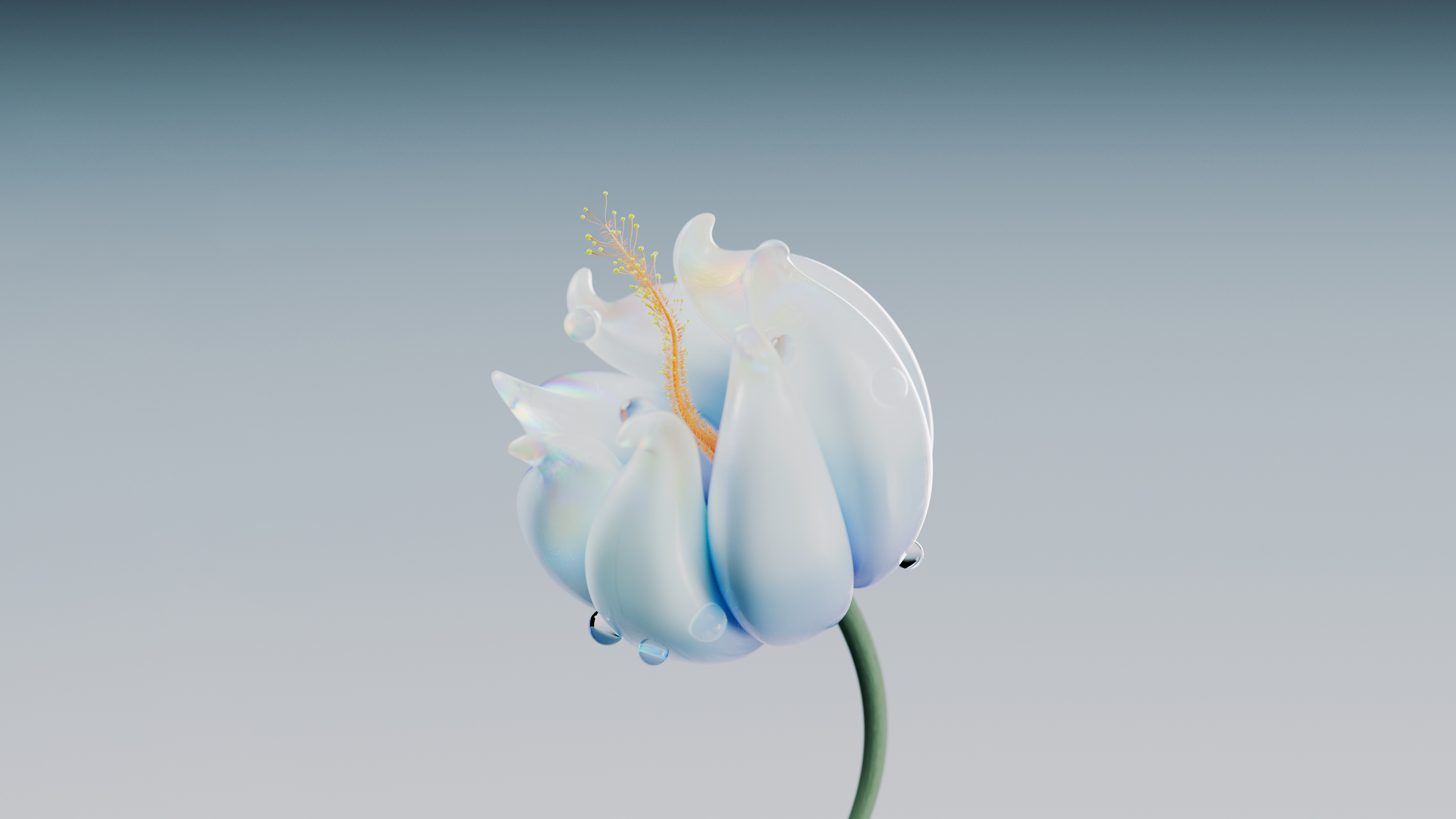 Blue Flower Digital White 8K Ultra-HD Ultra HD Computer Desktop Image Screensavers Wallpapers Backgrounds Backdrops Display Image Theme 4K Mac And PC