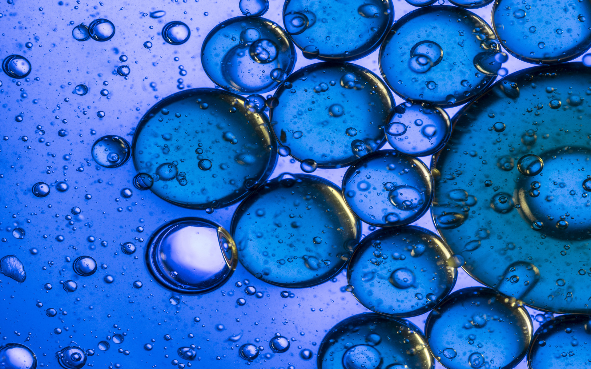 Blue Shiny Microsoft Windows 10 Stock Bubbles Abstract