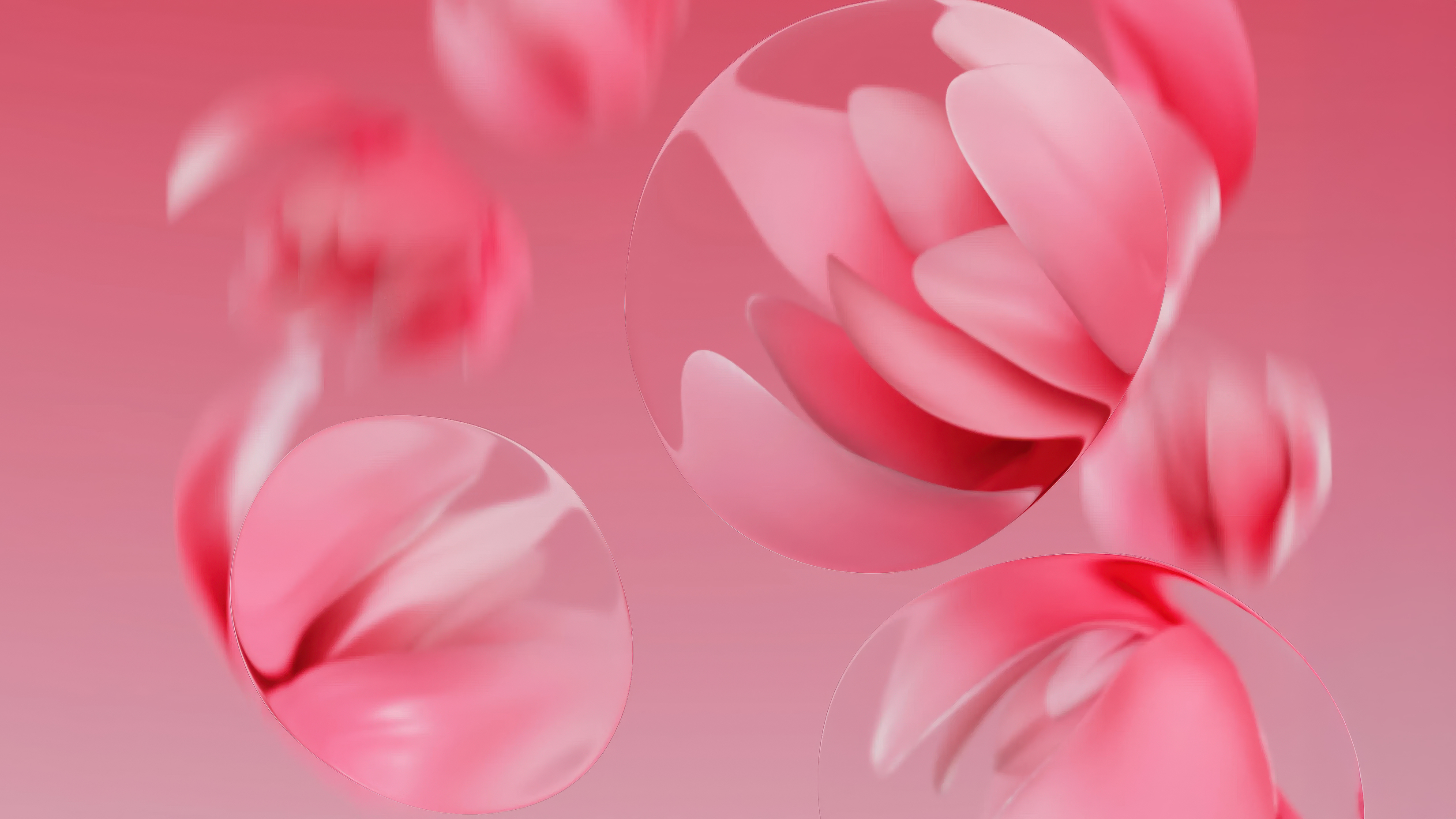Cherry Blossom Pink wallpaper for Apple iPhone, Apple Watch, Mac, iPad and Apple Watch