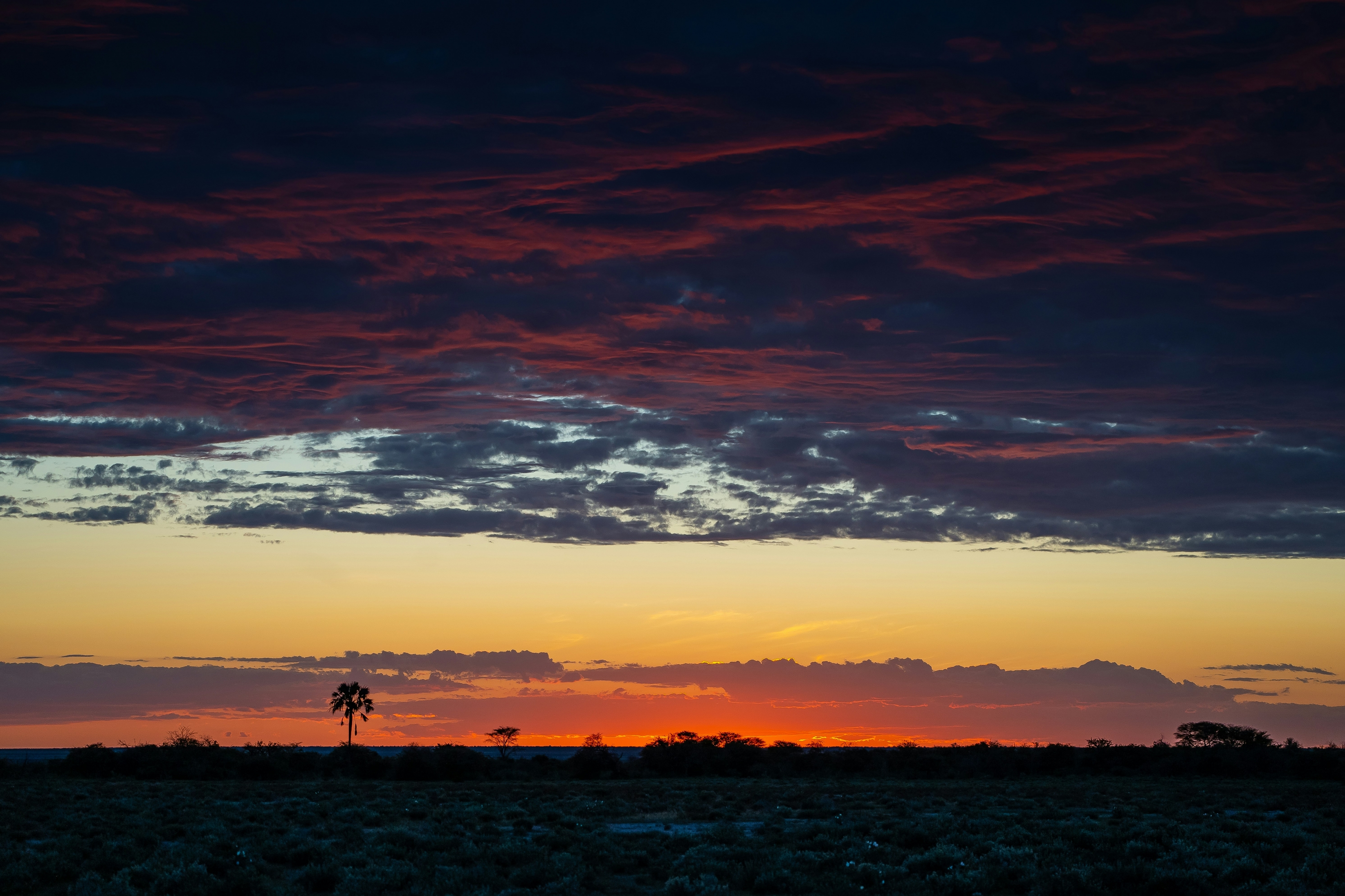 Colorful African Sunset wallpaper for Apple iPhone, Apple Watch, Mac, iPad and Apple Watch