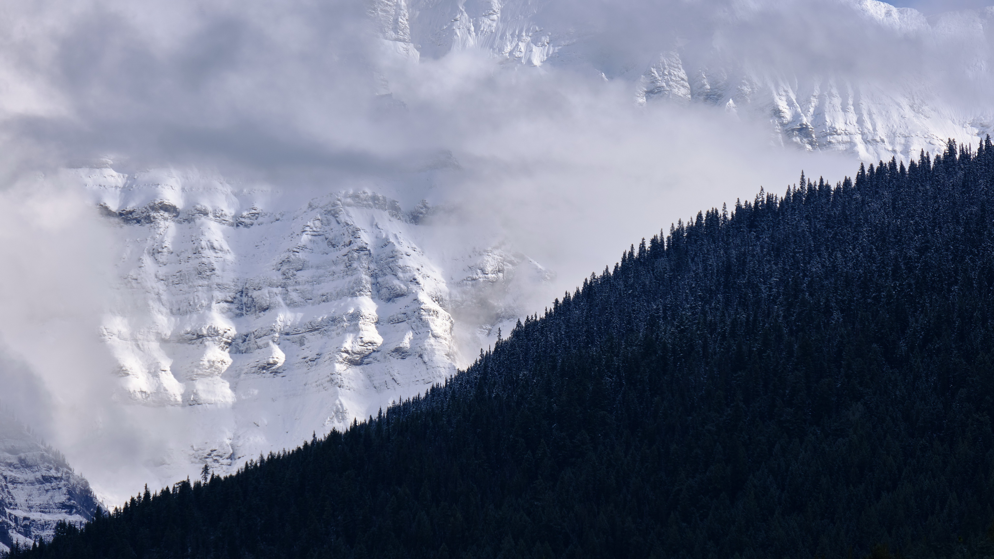 Dark Forest Against A Mountain Covered In Snow 2025 Best Ultra HD High Resolution 4K Desktop Backgrounds Wallpapers For Mac Linux And Windows PC macOS wallpaper for Apple iPhone, Apple Watch, Mac, iPad and Apple Watch