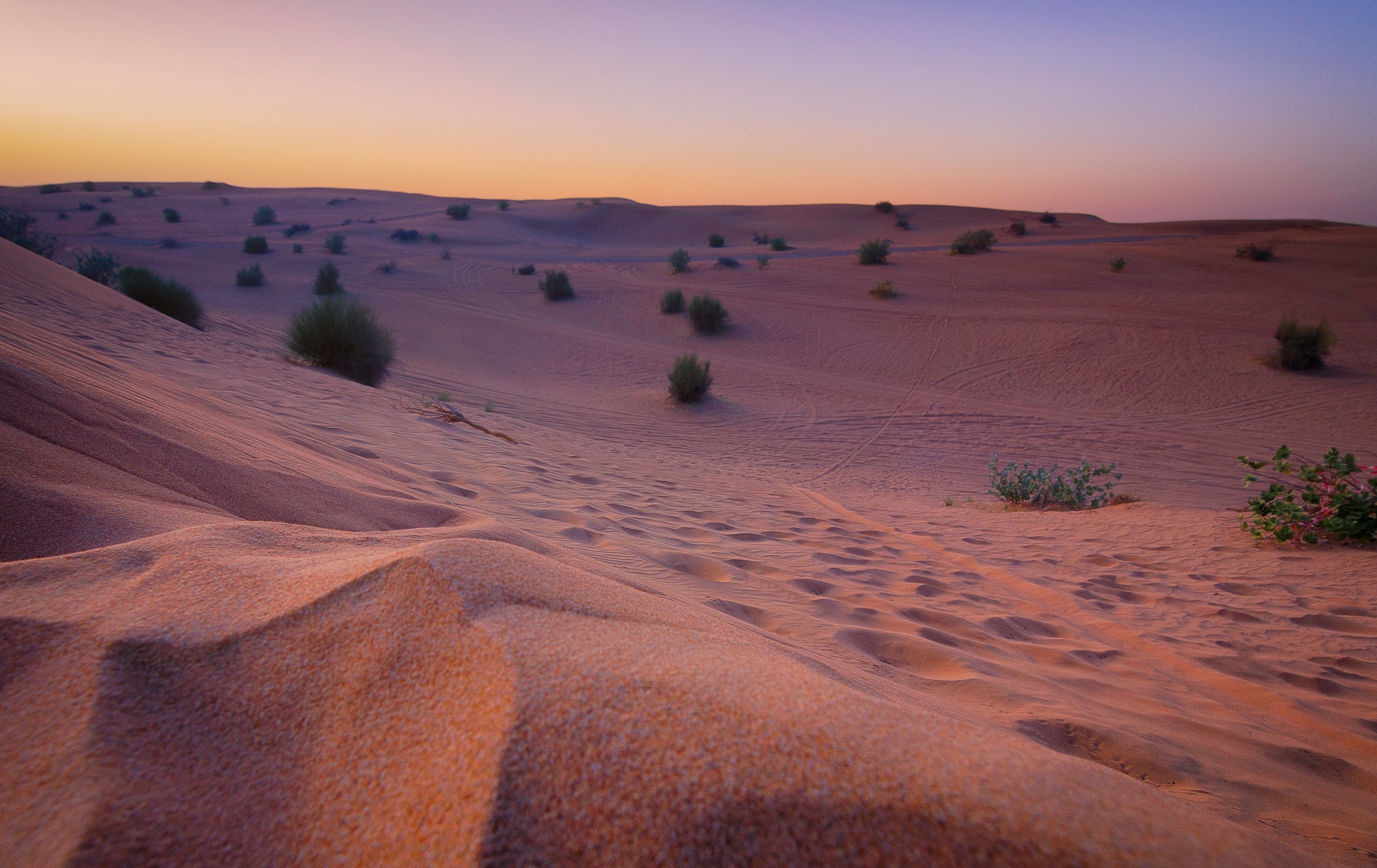 Desert Landscape At Sunset wallpaper for Apple iPhone, Apple Watch, Mac, iPad and Apple Watch