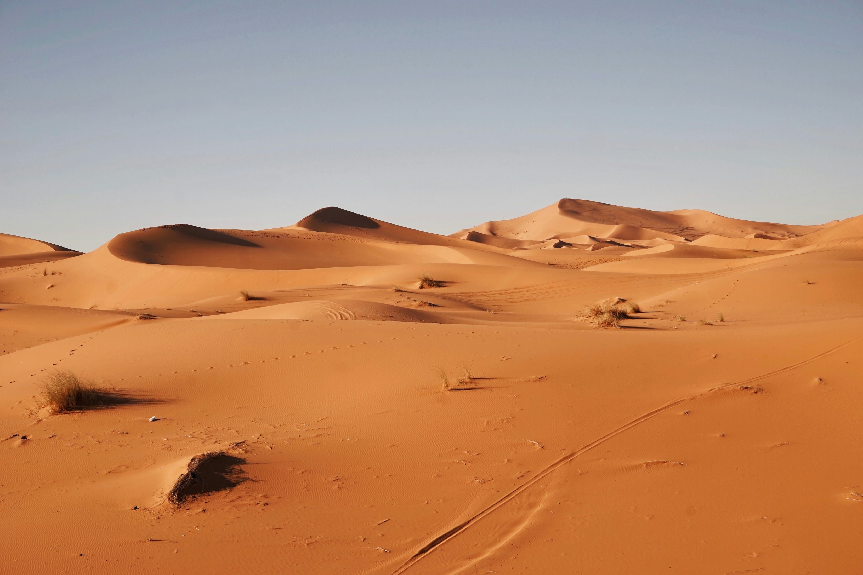 Desert Sand Dunes