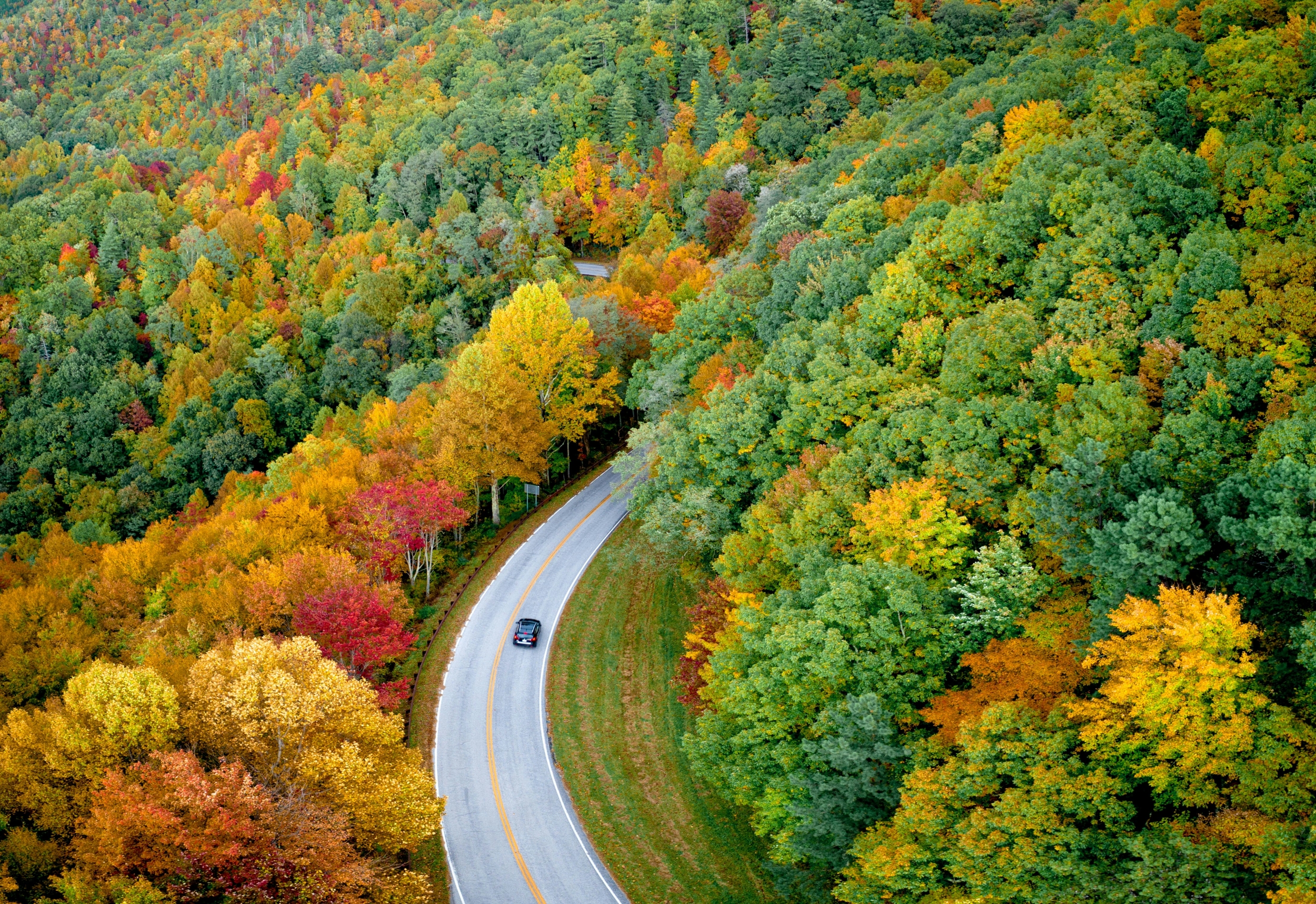 Fall Autumn Road With Single Car Driving