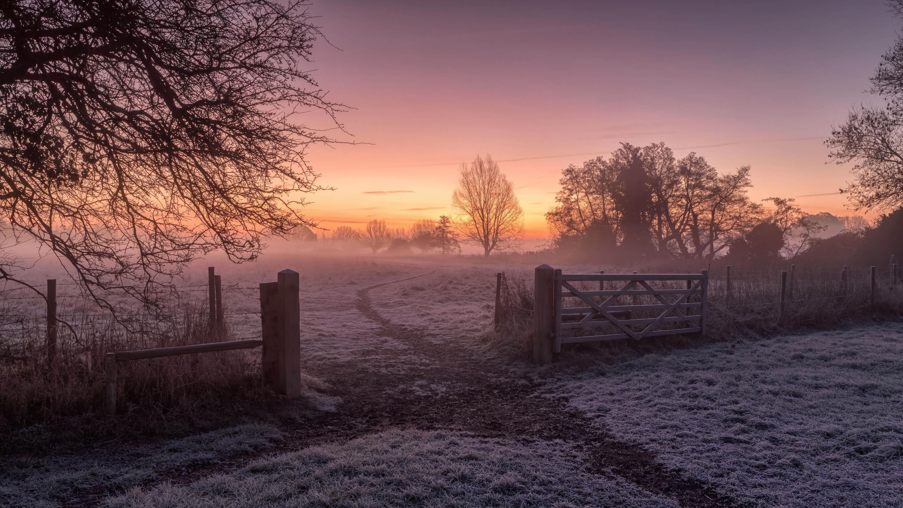 Frosty Morning On The Farm Best 4K Desktop Wallpapers Backdrops And 8K Backgrounds 12k High Resolution HD Of 2025 For Apple Mac Windows PC Linux Chromebooks wallpaper for Apple iPhone, Apple Watch, Mac, iPad and Apple Watch