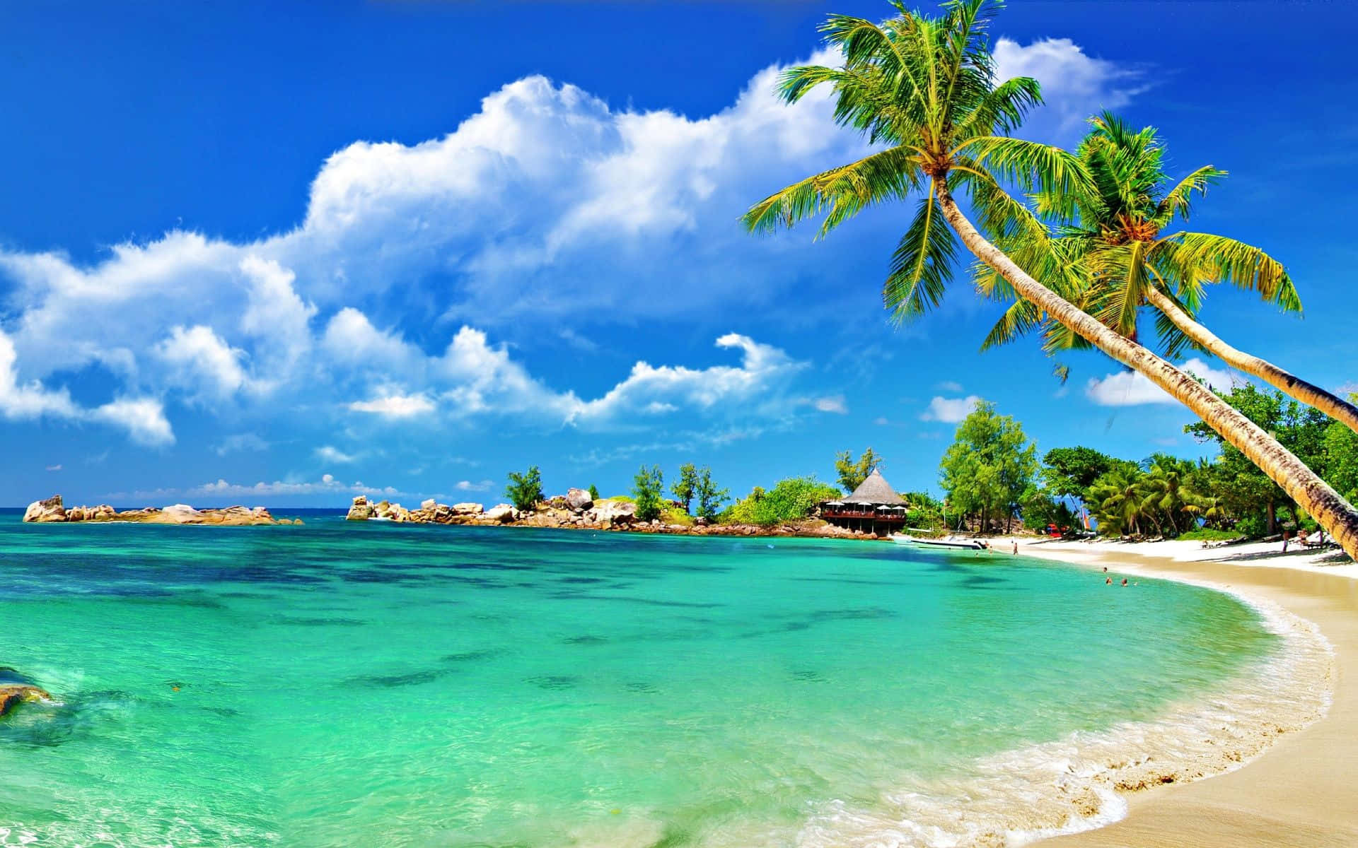 Gorgeous Crystal Clear Water With Clouds Beach Palm Beach Florida State United States Of America USA