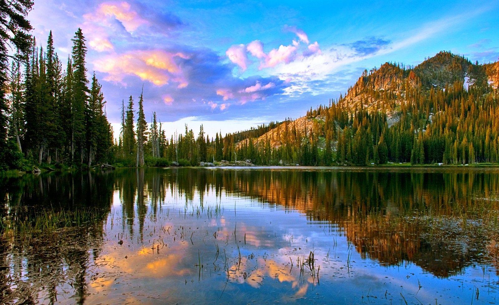 Gorgeous National Park Idaho State United States USA