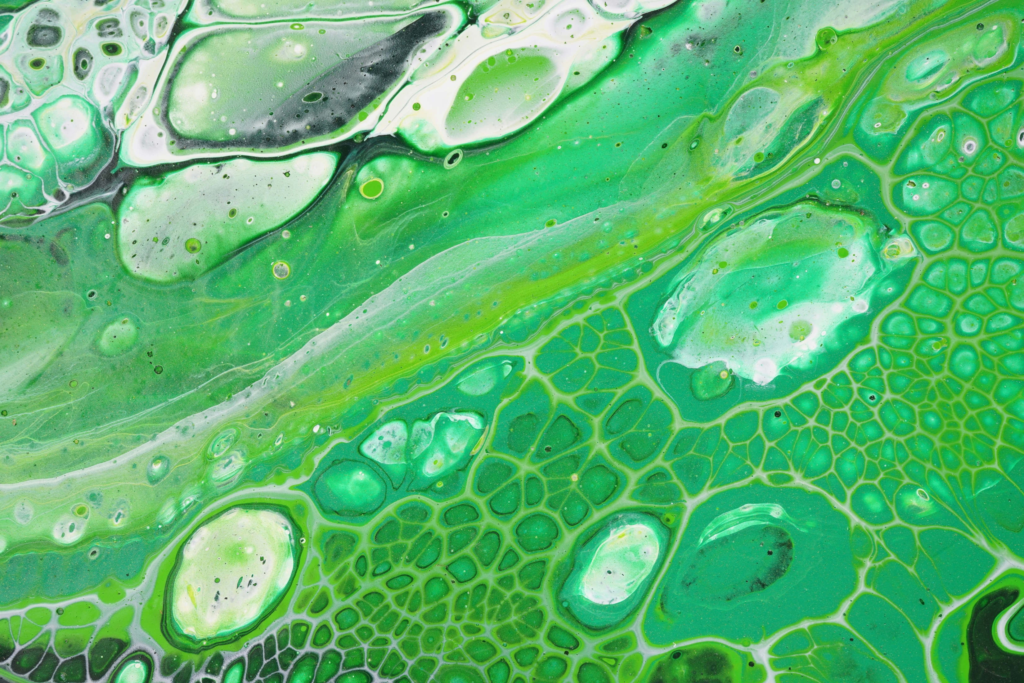 Green Paint Artwork Abstract wallpaper for Apple iPhone, Apple Watch, Mac, iPad and Apple Watch