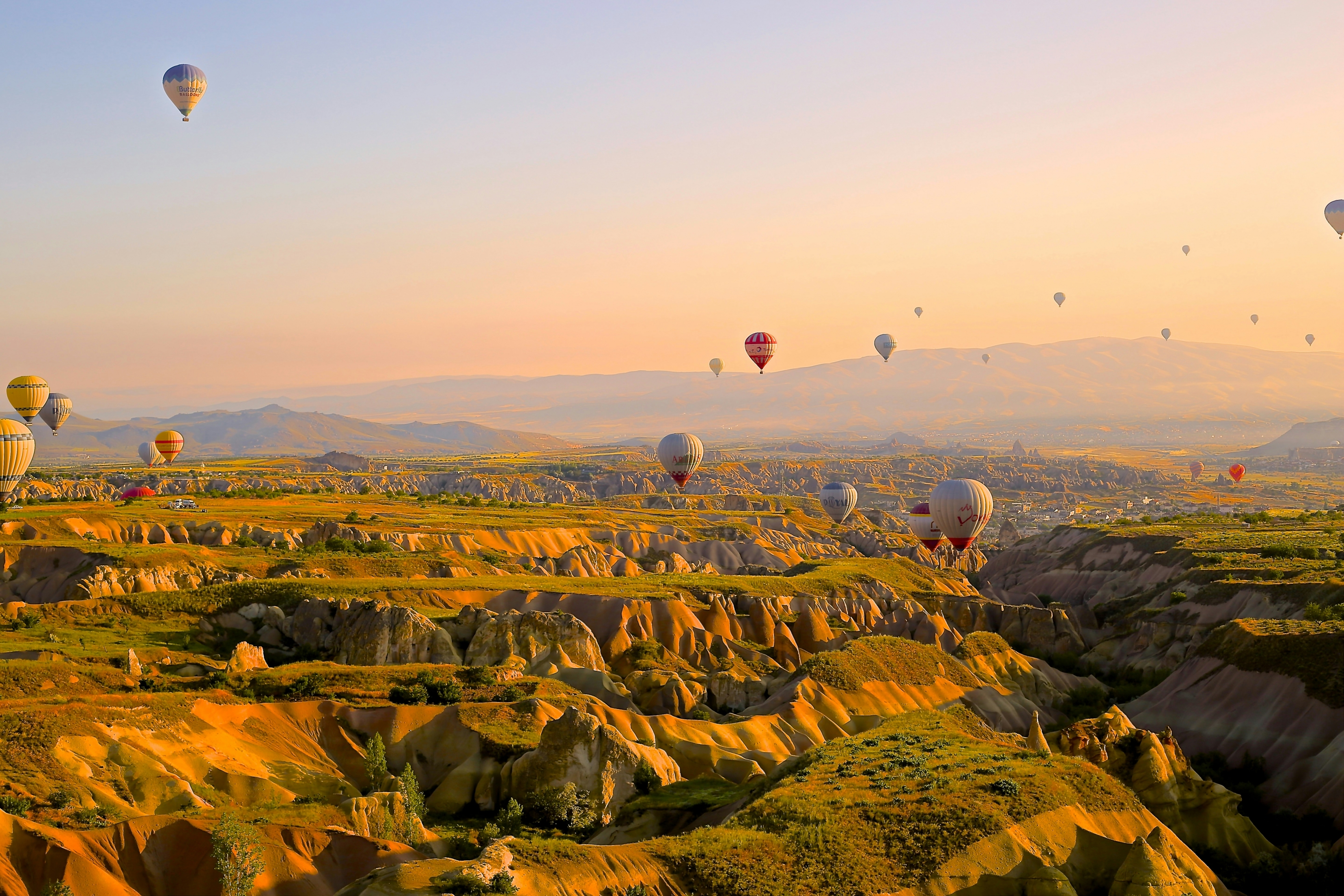 Hot Air Balloons Fly At Sunrise