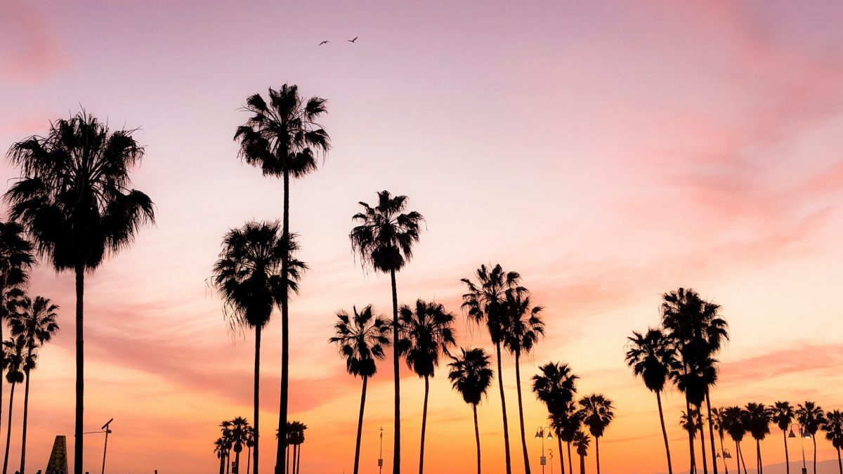 Los Angeles LA Southern California Socal Sunrise Sunset Palm Trees Sky Orange