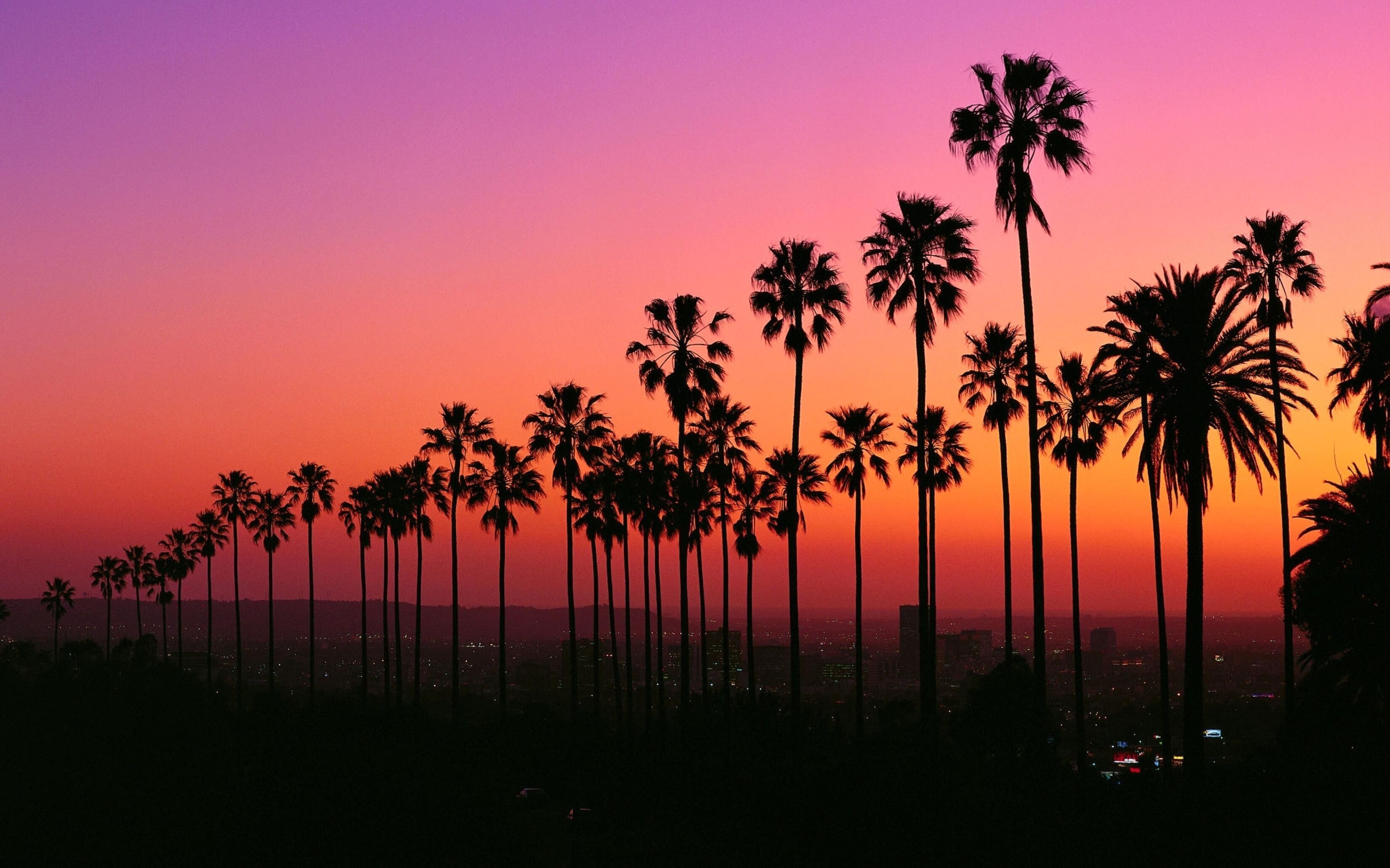 Los Angeles LA Southern California Socal Sunrise Sunset Pink Orange Red Sky Palm Trees