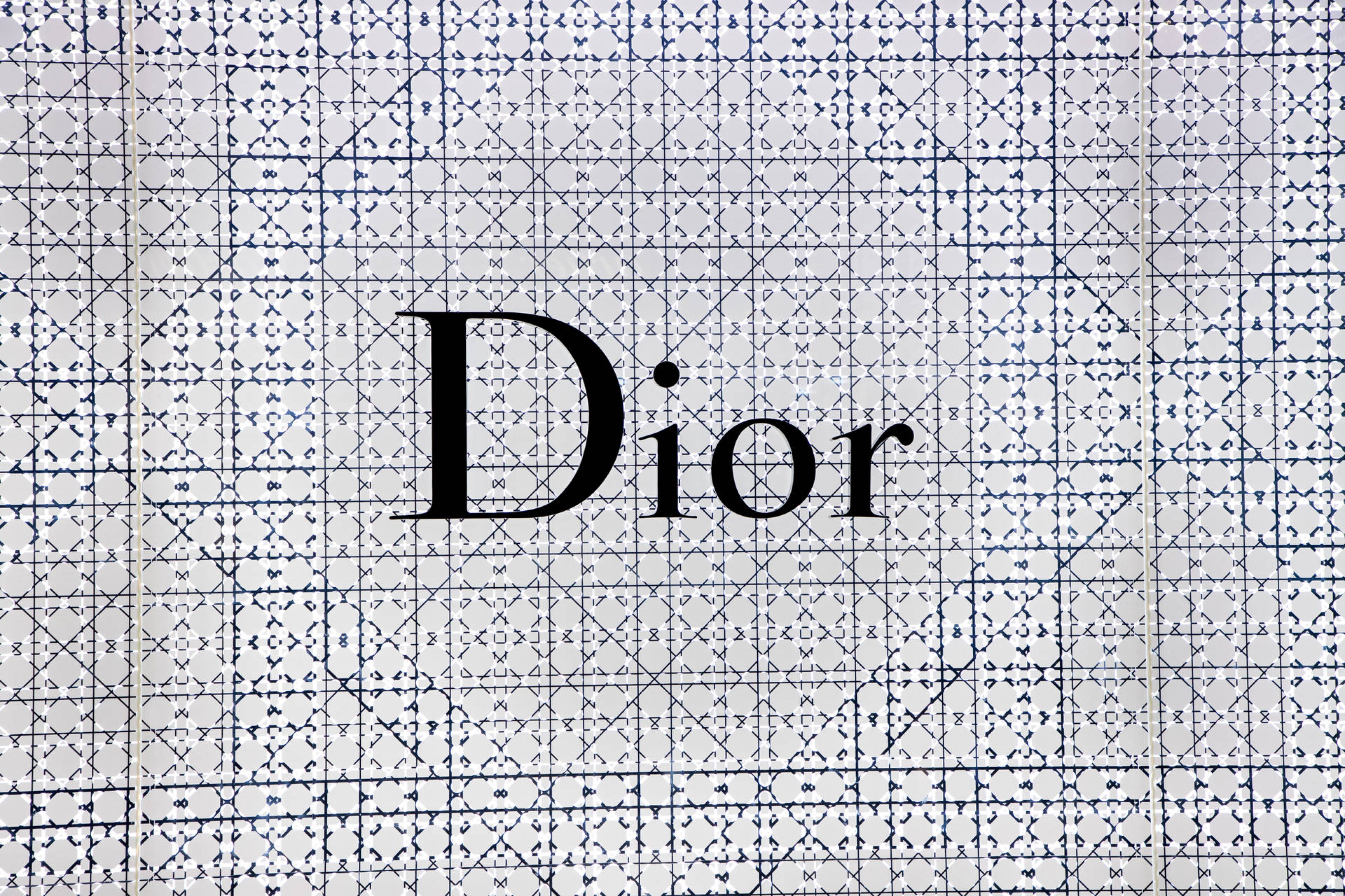 Luxury Brands Christian Dior Logo Pattern