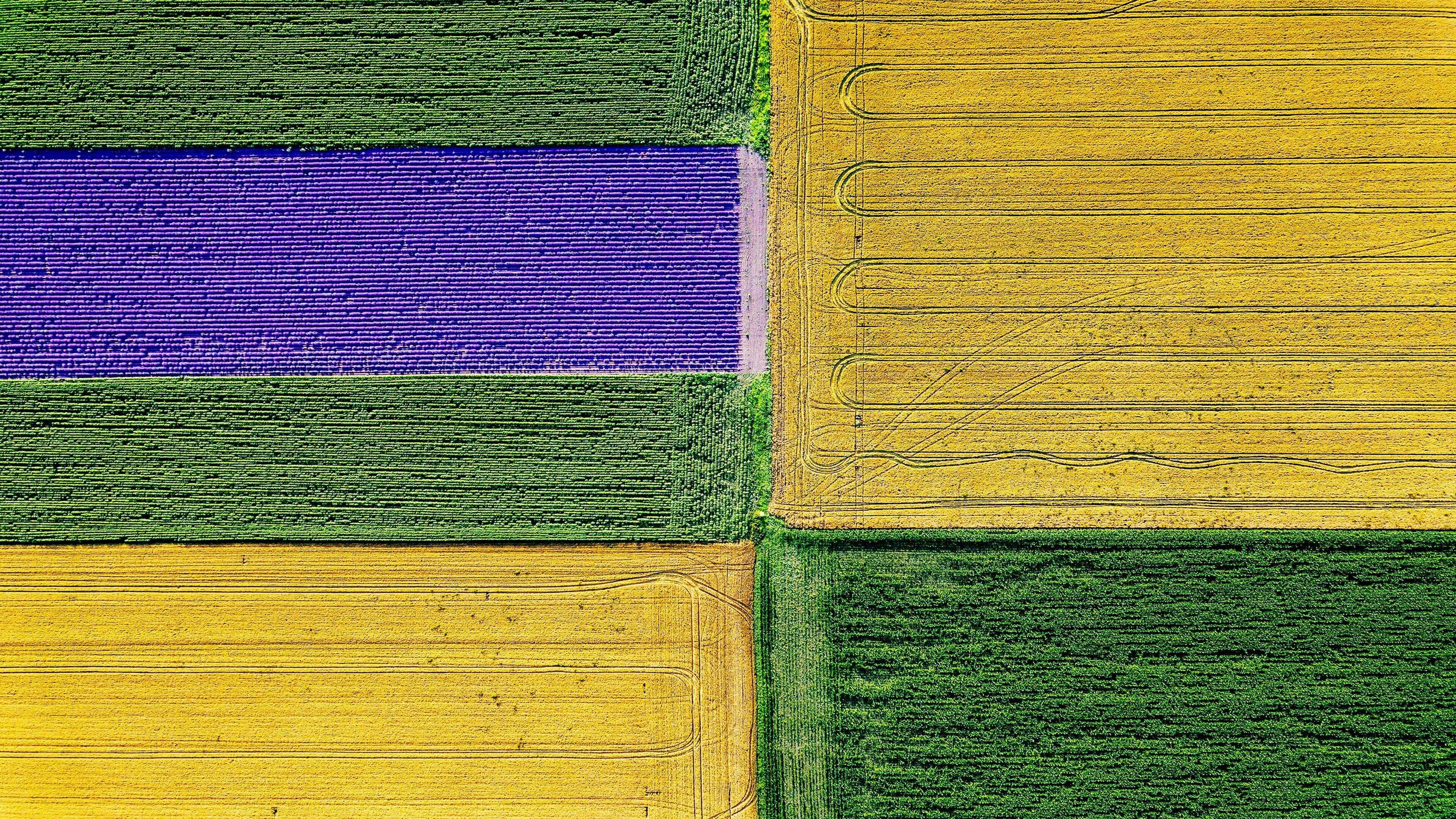 Microsoft Windows 11 Default Aerial Farm Shot Multicolor Fields Of Crops