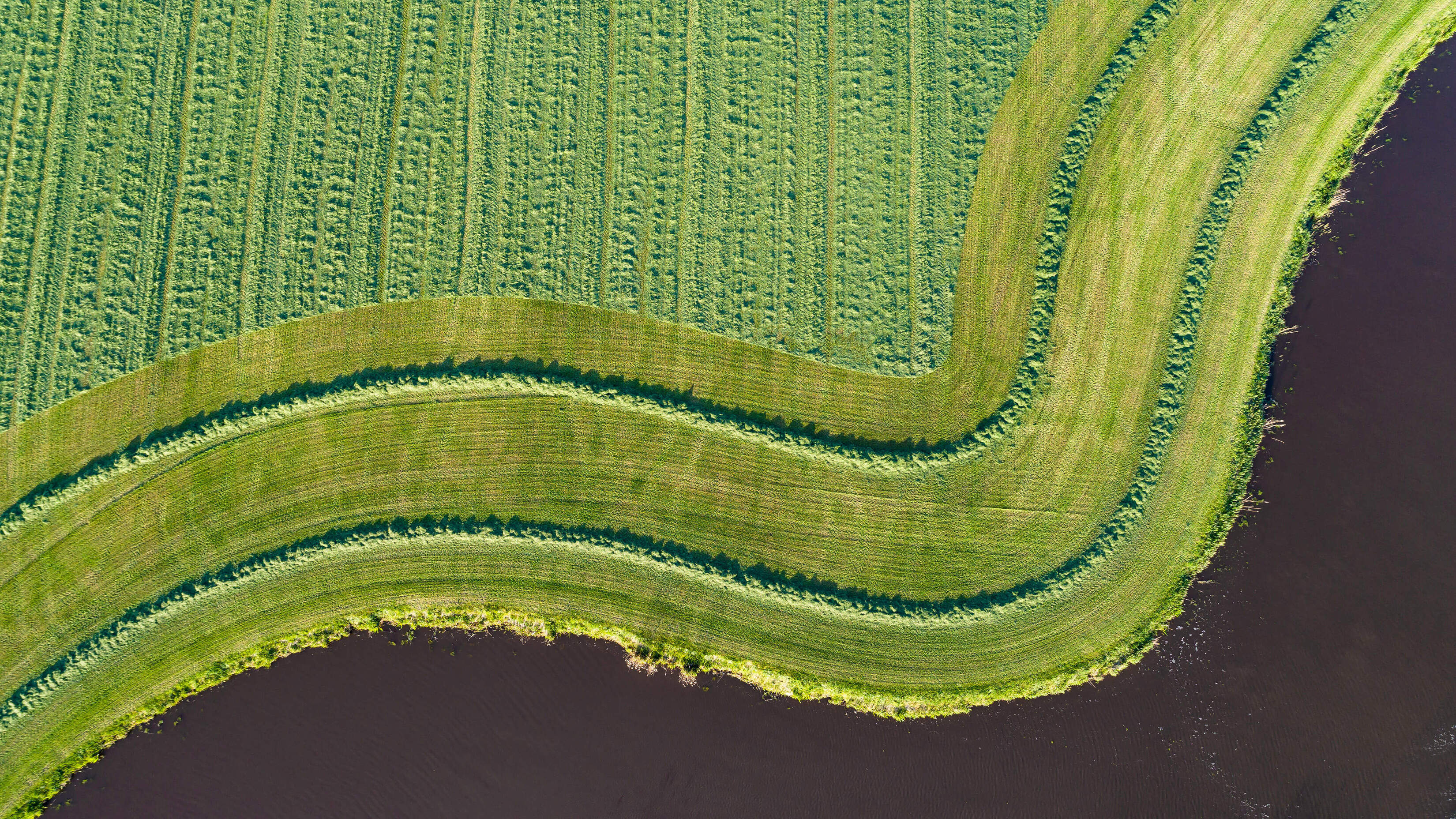 Microsoft Windows 11 Default Aerial Farm Shot Riverbank wallpaper for Apple iPhone, Apple Watch, Mac, iPad and Apple Watch