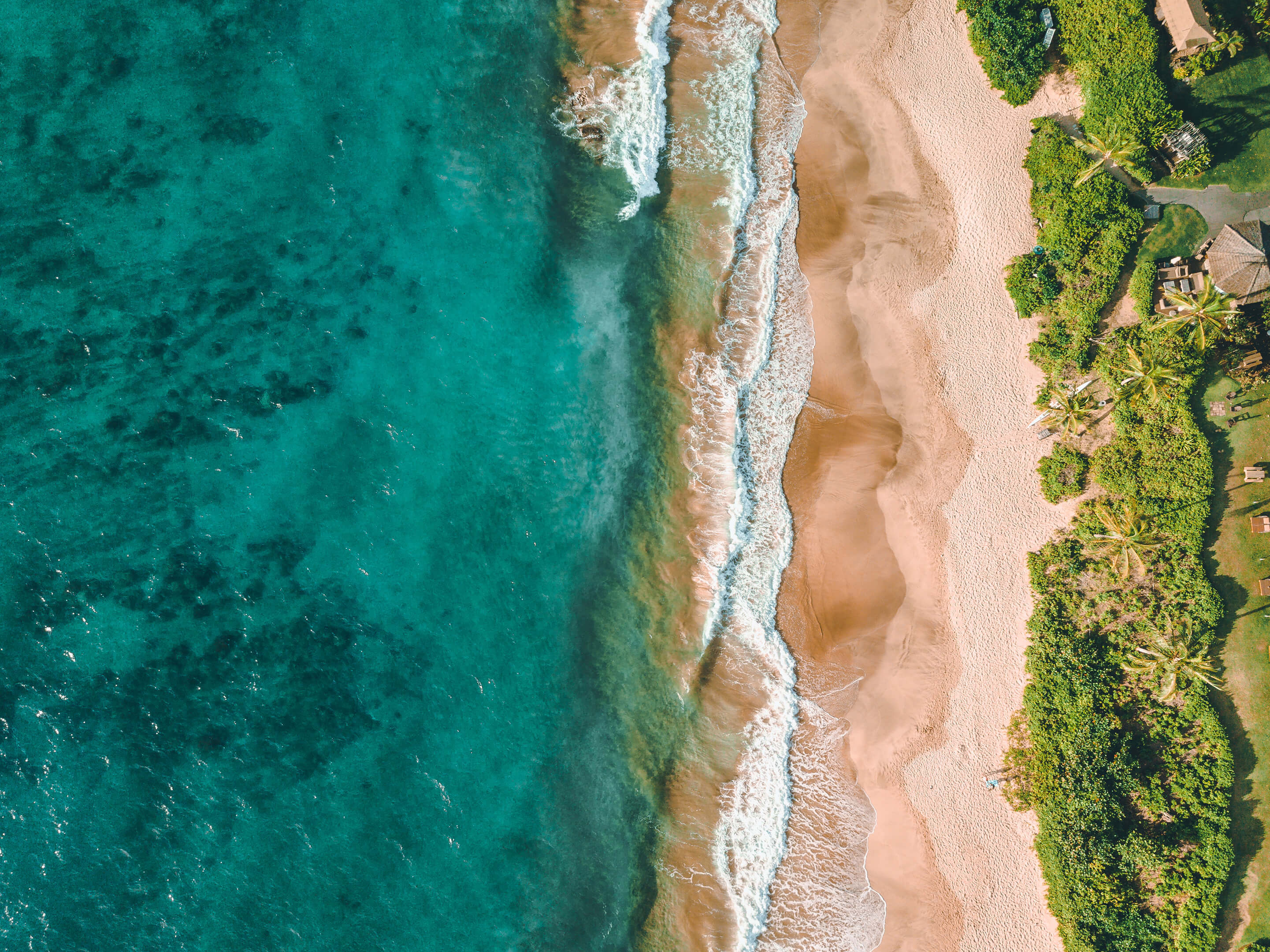 Microsoft Windows 11 Stock 4K Default Aerial Beach Forest Trees