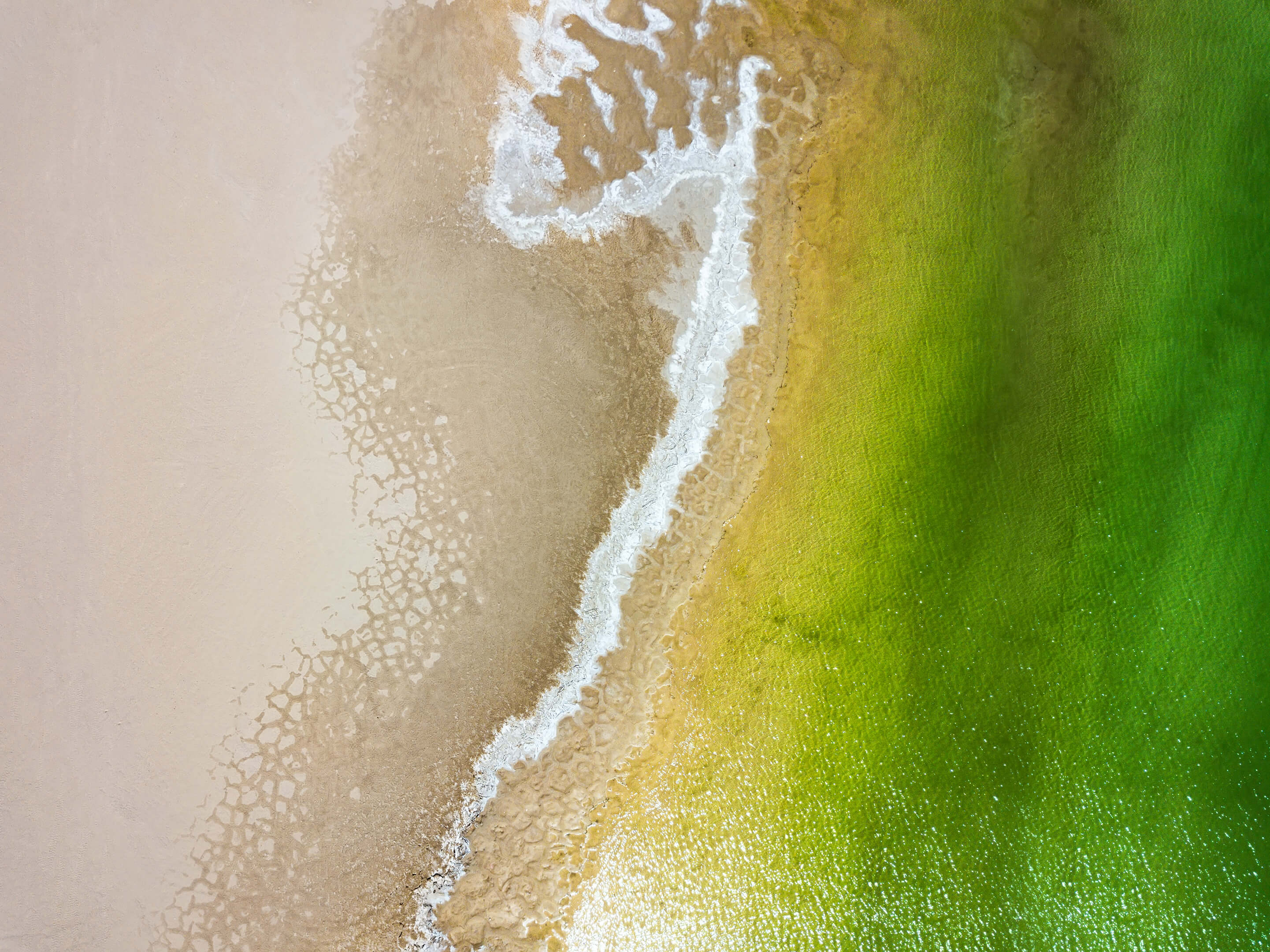 Microsoft Windows 11 Stock 4K Default Aerial Beach Green Water wallpaper for Apple iPhone, Apple Watch, Mac, iPad and Apple Watch