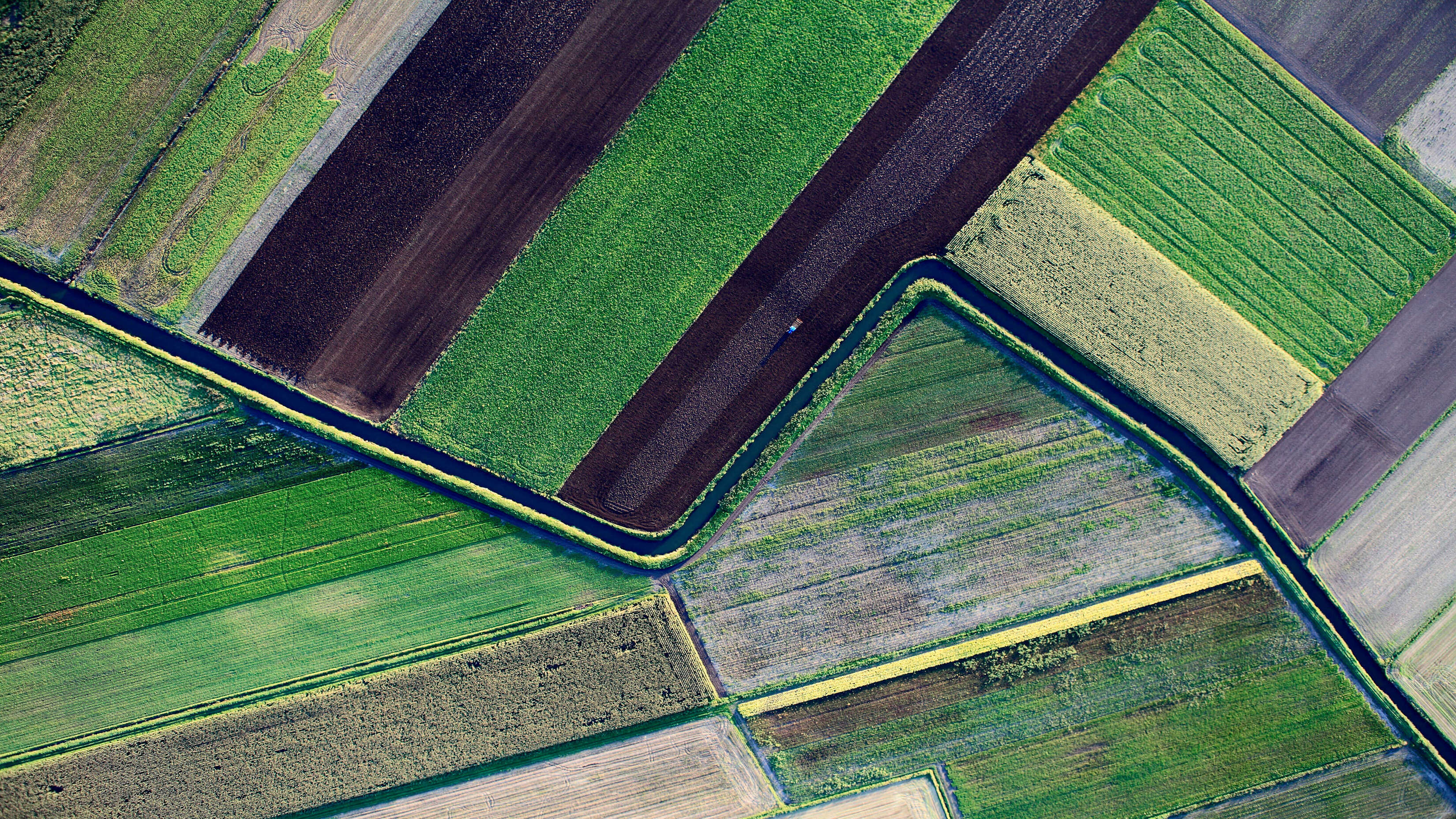 Microsoft Windows 11 Stock Aerial Farm Shot Green Pastures