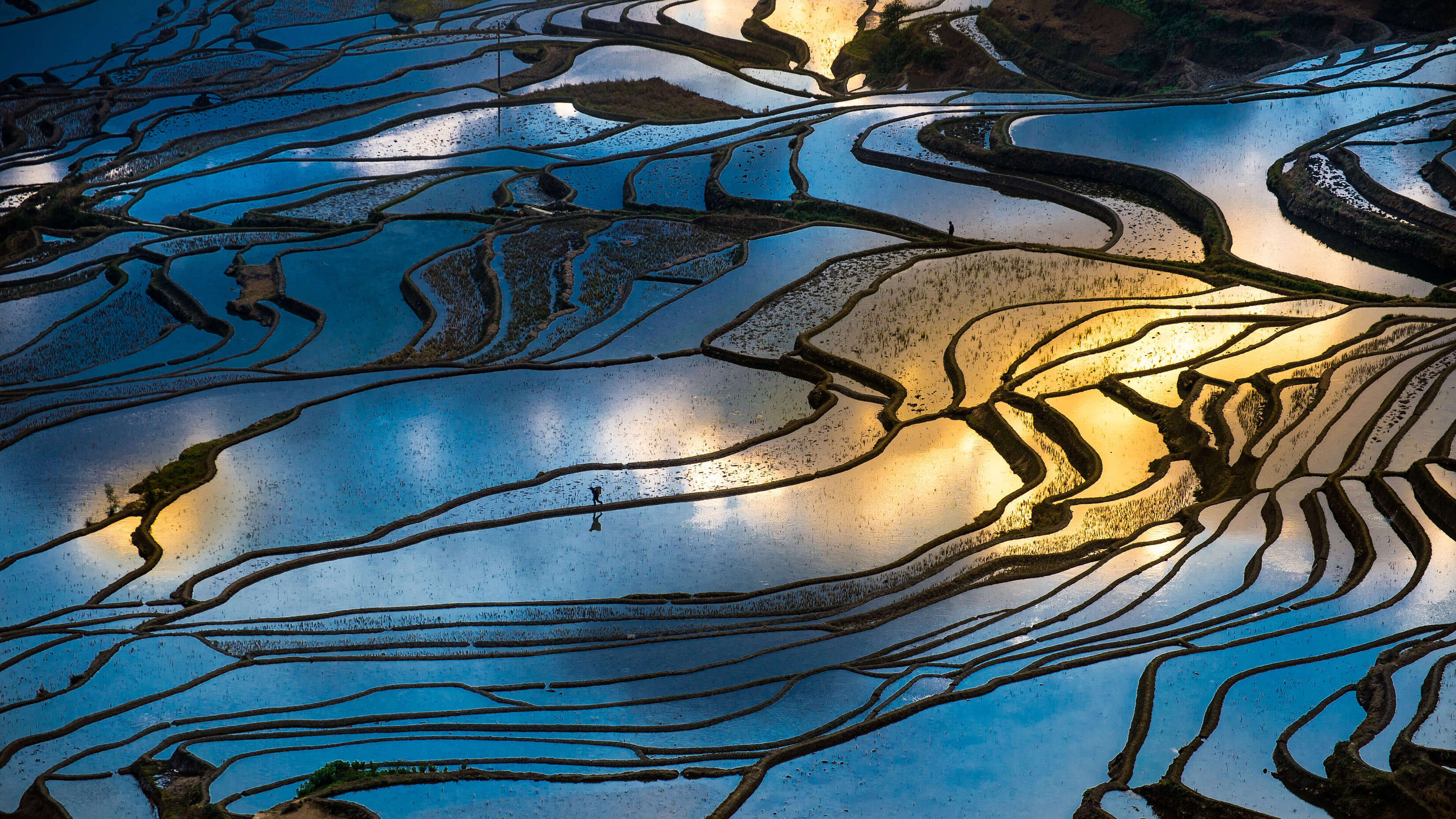 Microsoft Windows 11 Stock Aerial Farm Shot Water Reflection