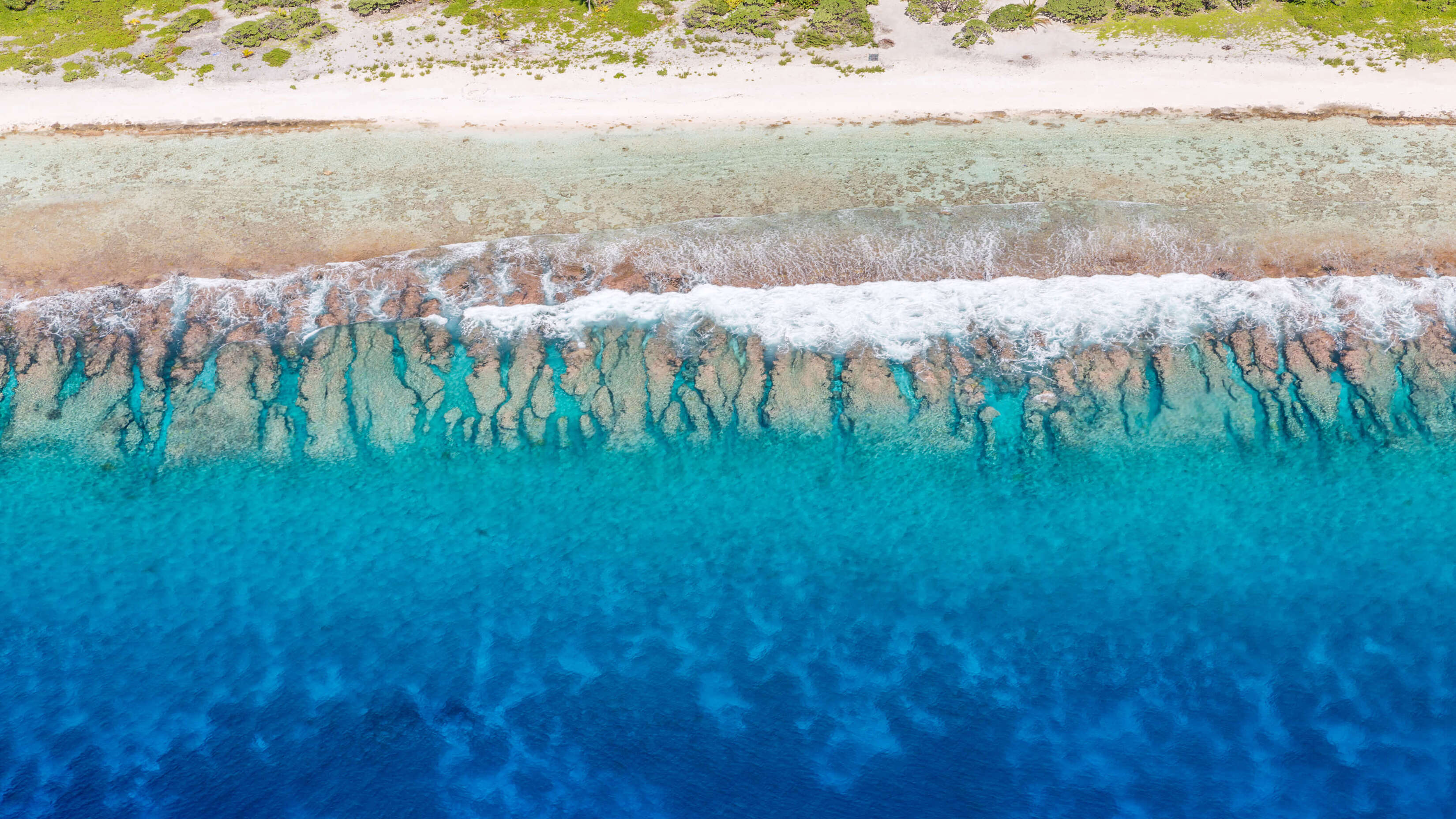 Microsoft Windows 11 Stock Default Aerial Beach Blue Crashing Waves