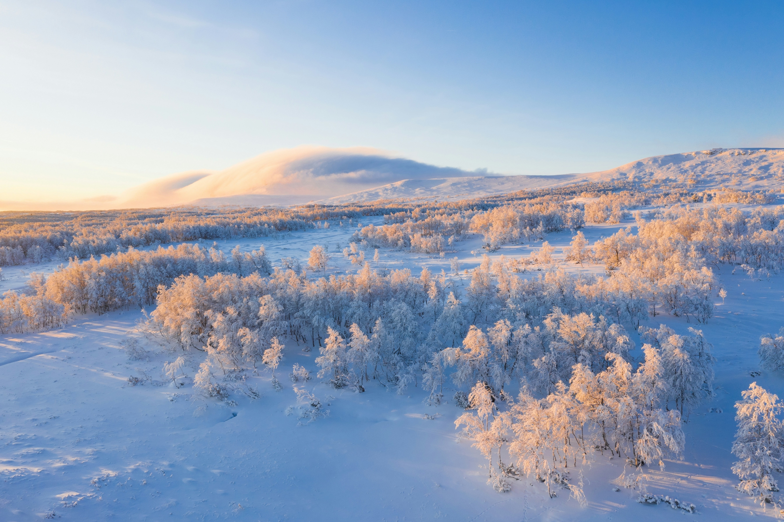 Mid Winter Landscape High Resolution