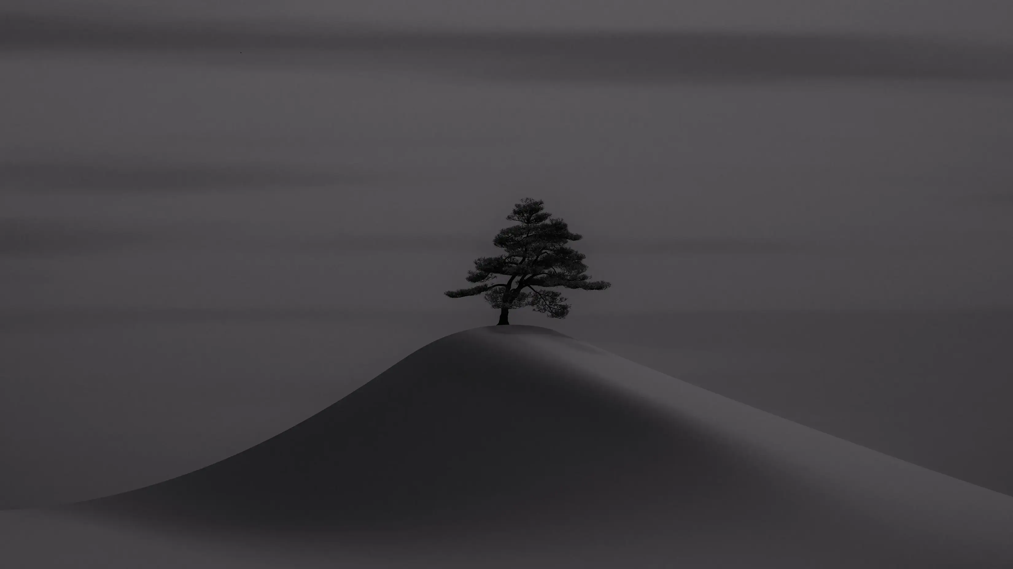 Minimal Monochrome Desktop Wallpapers Dark Tree Desert Landscape Best 4K Desktop Wallpapers Backdrops And 8K Backgrounds 12k High Resolution HD Of 2025 For Apple Mac Windows PC Linux wallpaper for Apple iPhone, Apple Watch, Mac, iPad and Apple Watch