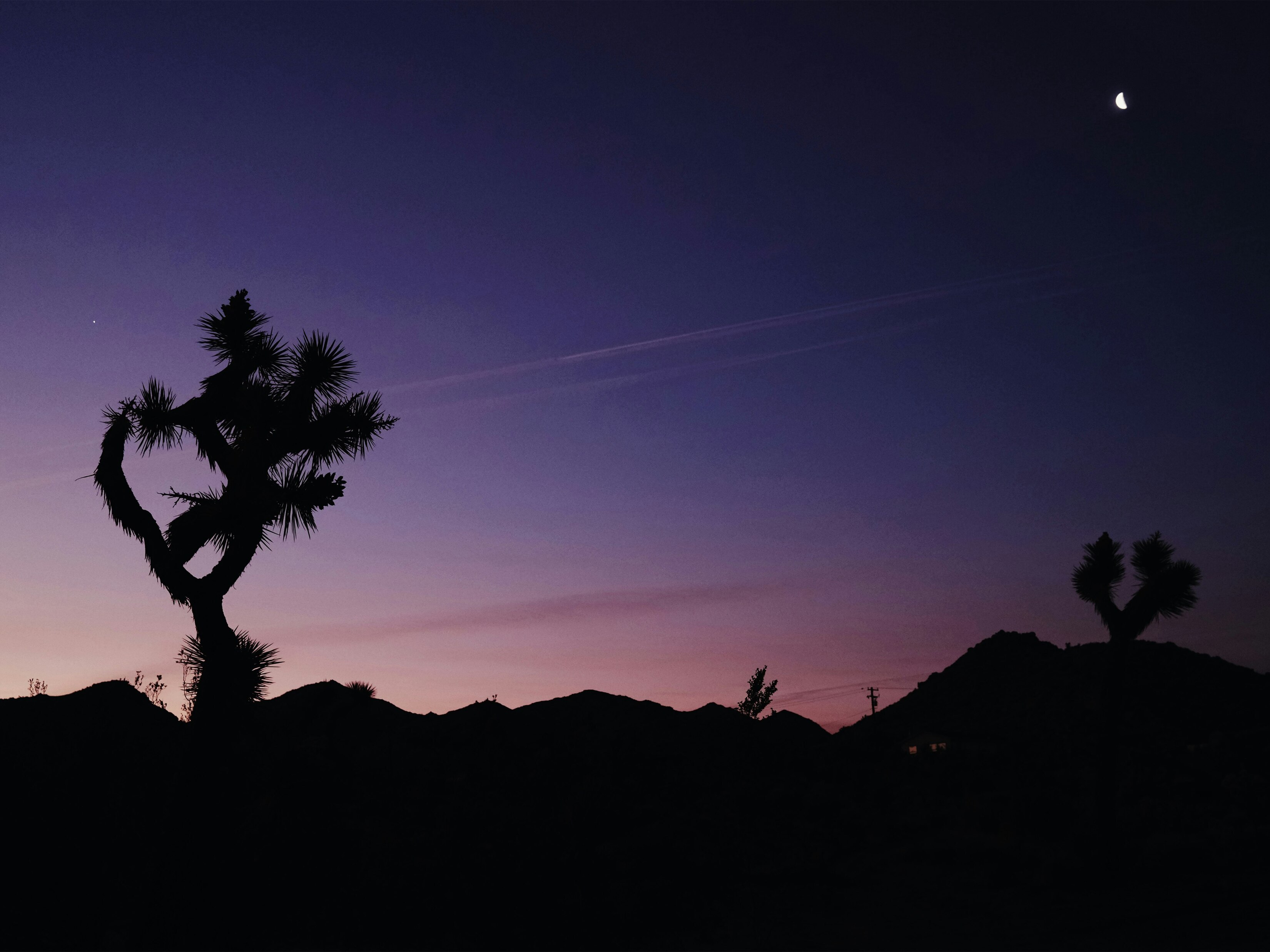 MKBHD Panels App Free California Mojave Desert Cactus Silhouette wallpaper for Apple iPhone, Apple Watch, Mac, iPad and Apple Watch