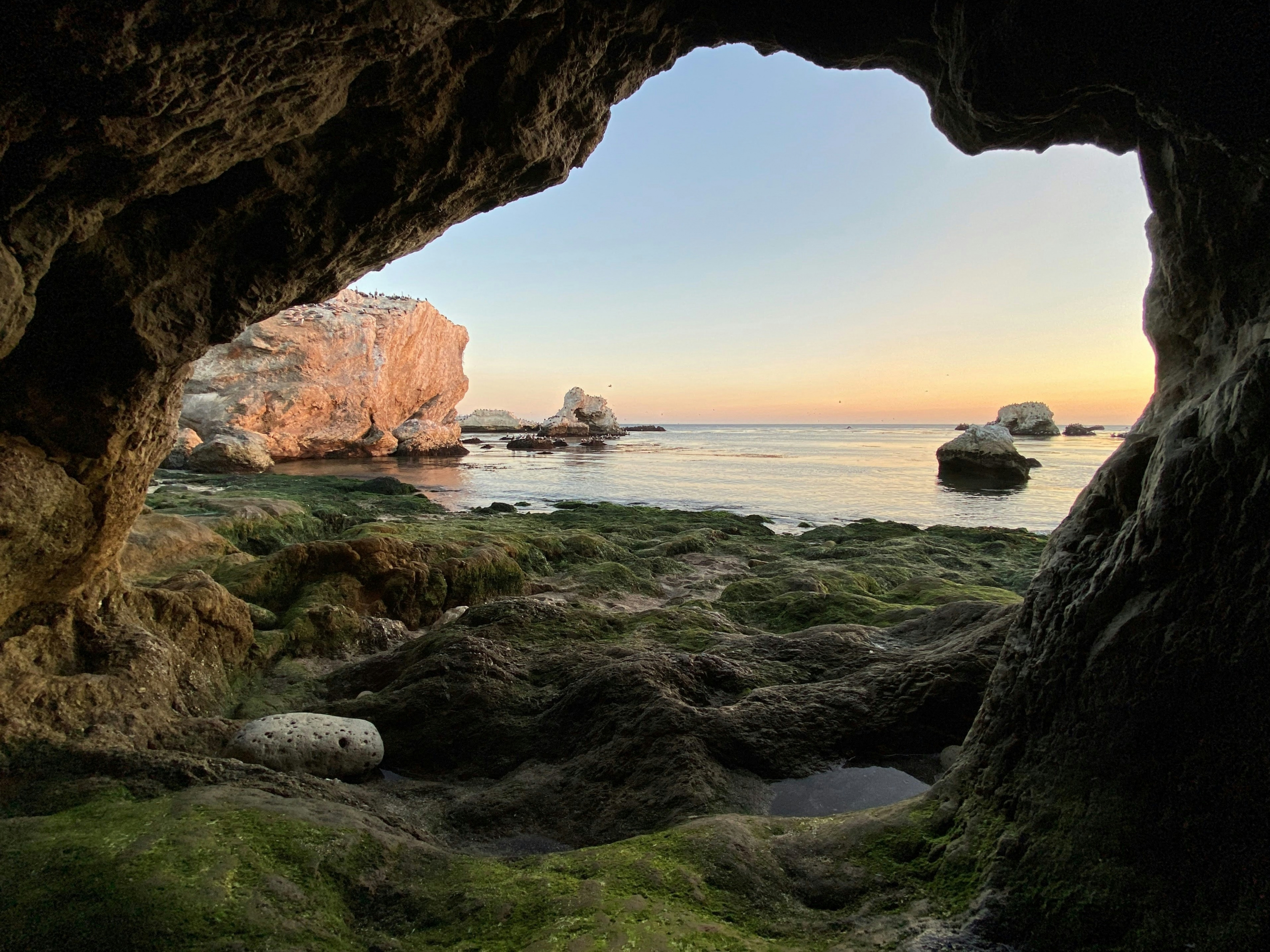 Mossy Beach Cave Sunrise Morning 5K