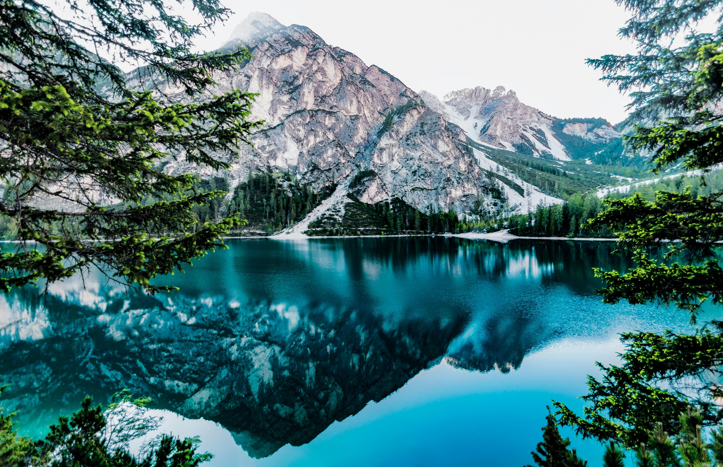 Mountains Reflect Against A Lake In Winter With Snow Covered Trees