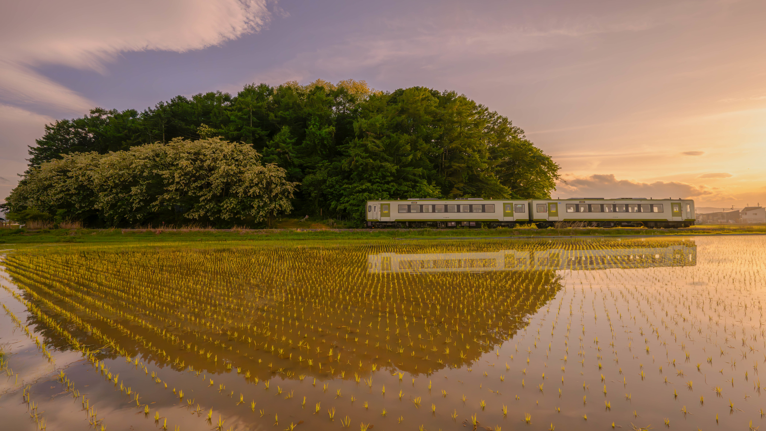 Nagano Japan Train With Rice Fields Best 4K Desktop Wallpapers Backdrops And 8K Backgrounds 12k High Resolution HD Of 2025 For Apple Mac Windows PC Linux Chromebooks wallpaper for Apple iPhone, Apple Watch, Mac, iPad and Apple Watch