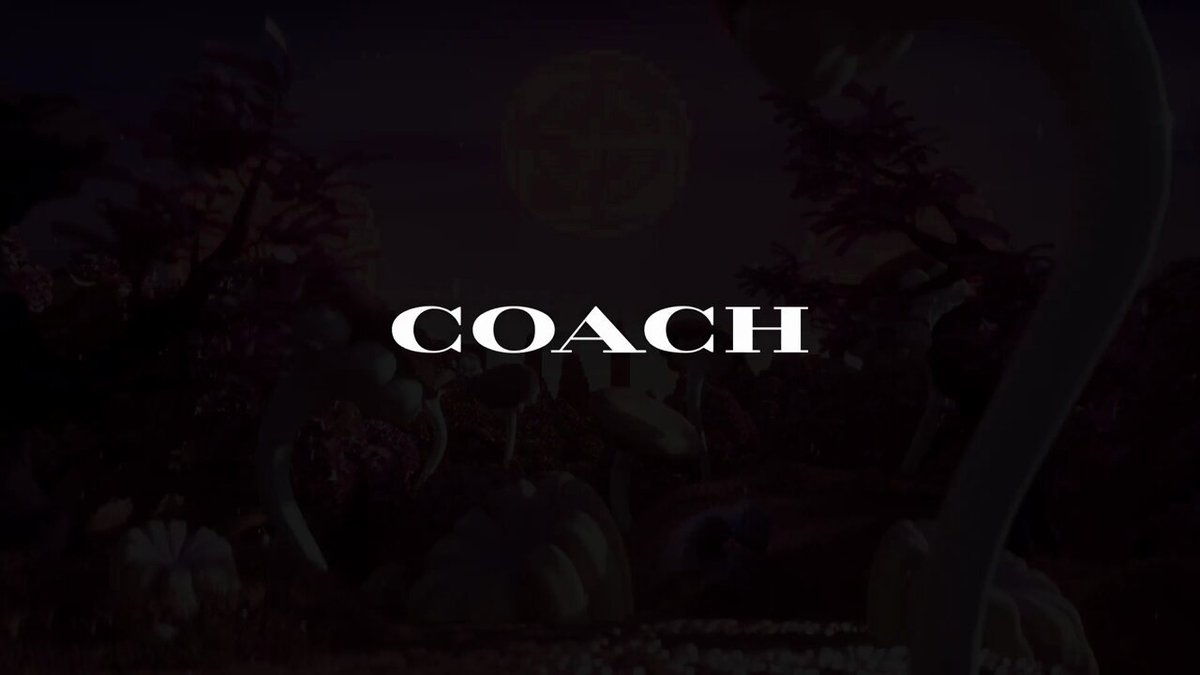 Official Coach Logo Black