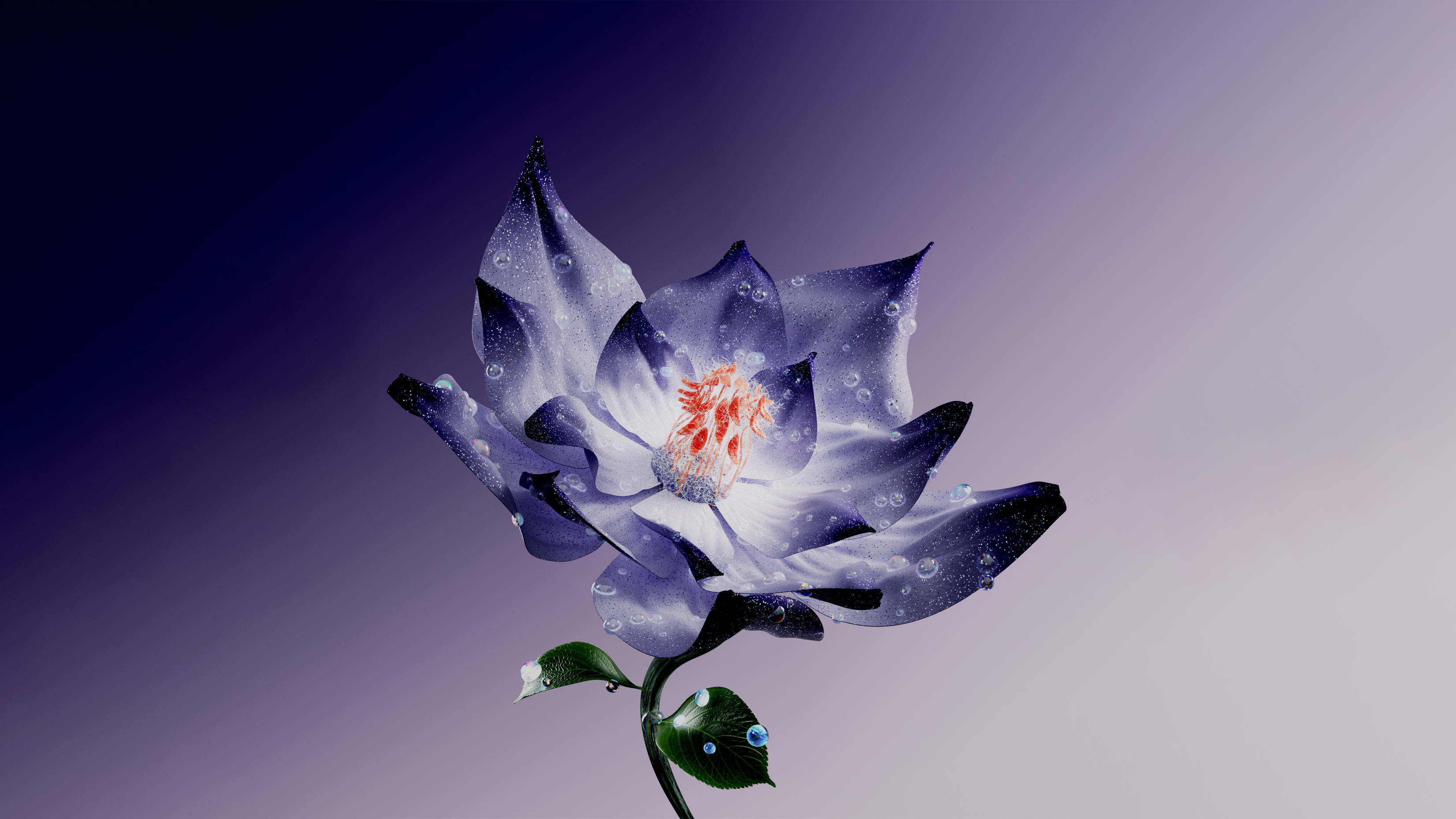 Purple Flower