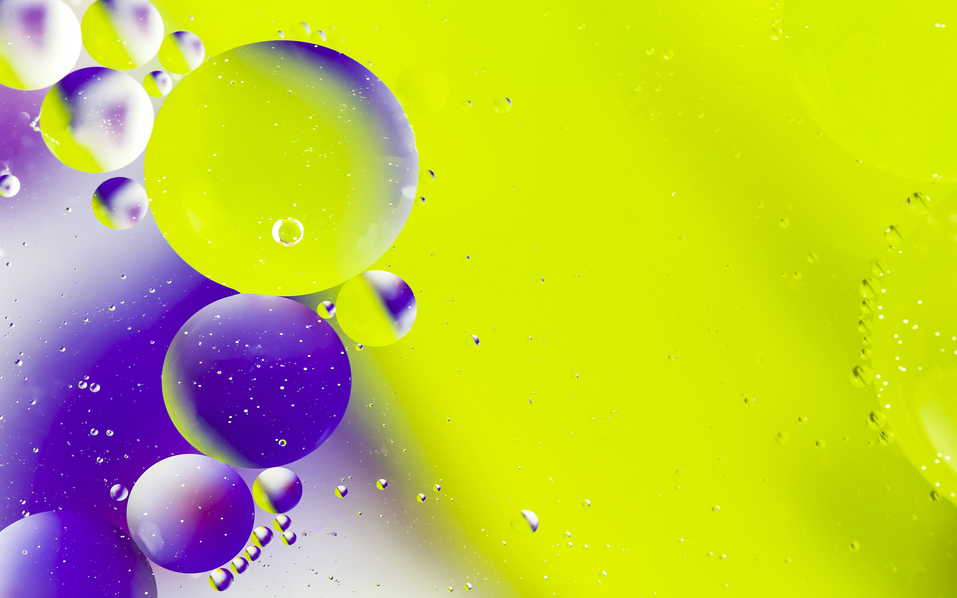 Purple Green Circles Rounded Microsoft Windows 10 Windows 11 Stock Wallpapers Bubbles Abstract