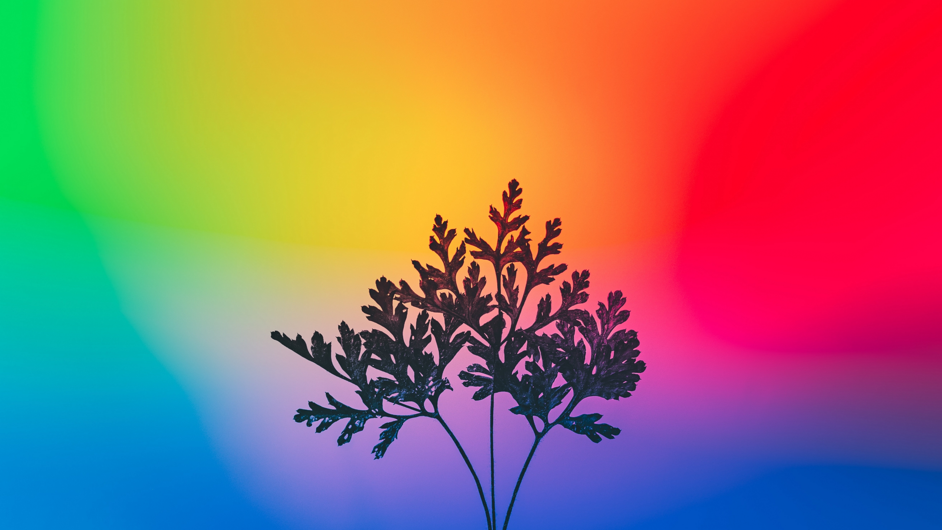 Rainbow Multicolor Gradient With Plant Modern wallpaper for Apple iPhone, Apple Watch, Mac, iPad and Apple Watch