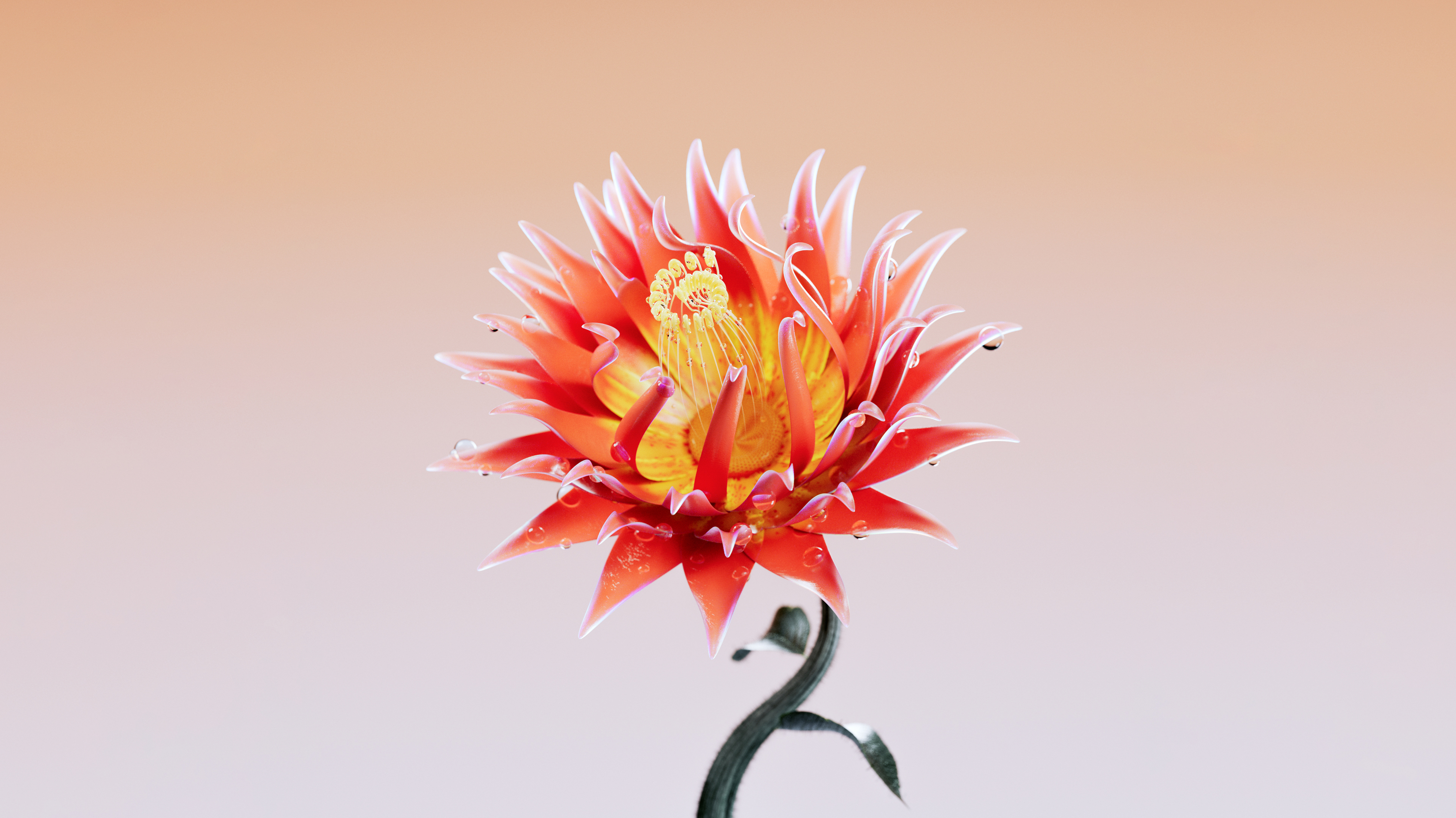 Red Flower Digital Artwork Best Desktop Wallpapers Of 2025 Collection For Mac And PC 4K 6K