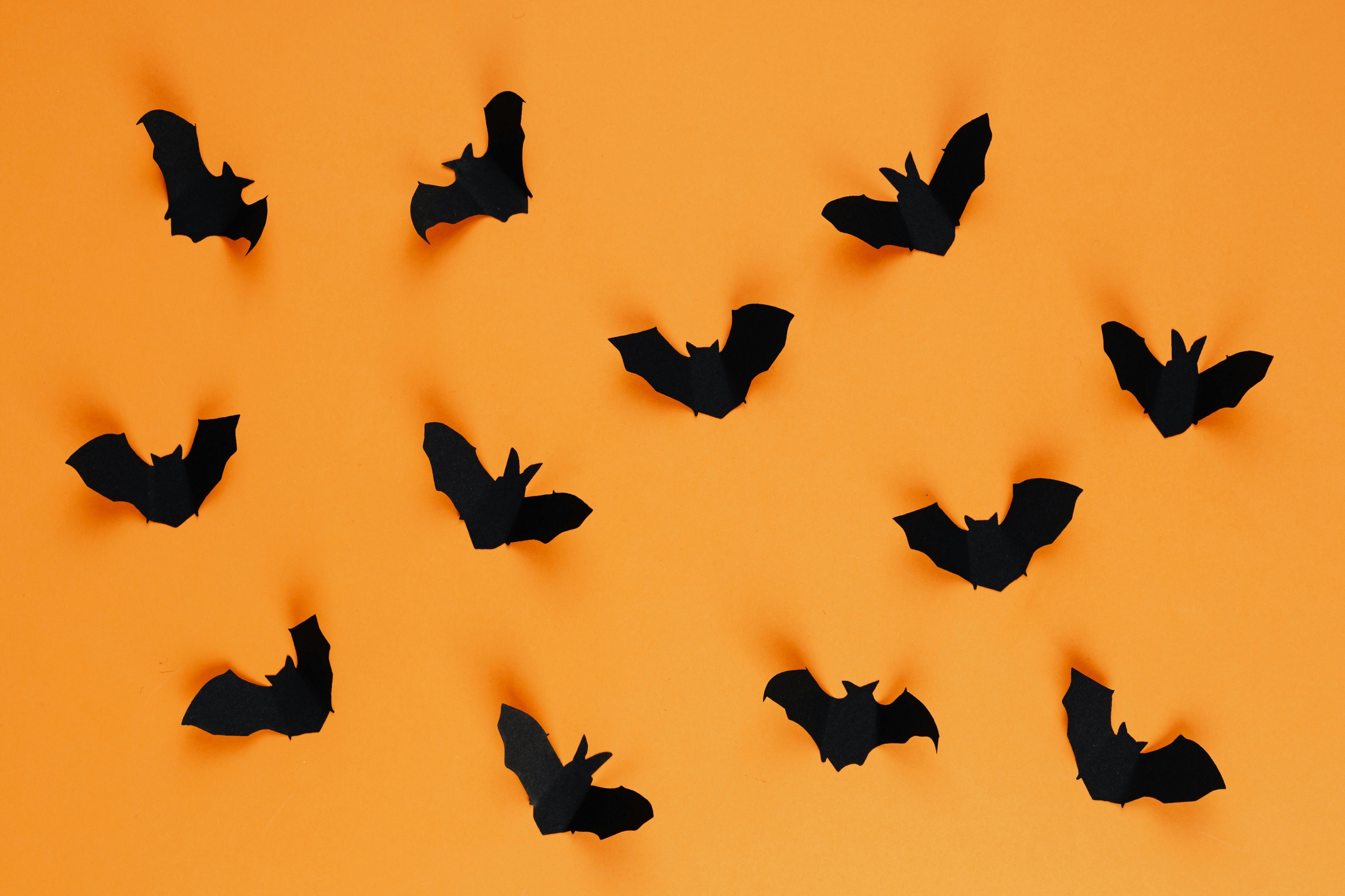 Seasonal Black Bats On On An Orange Background Halloween Truth Or Dare wallpaper for Apple iPhone, Apple Watch, Mac, iPad and Apple Watch