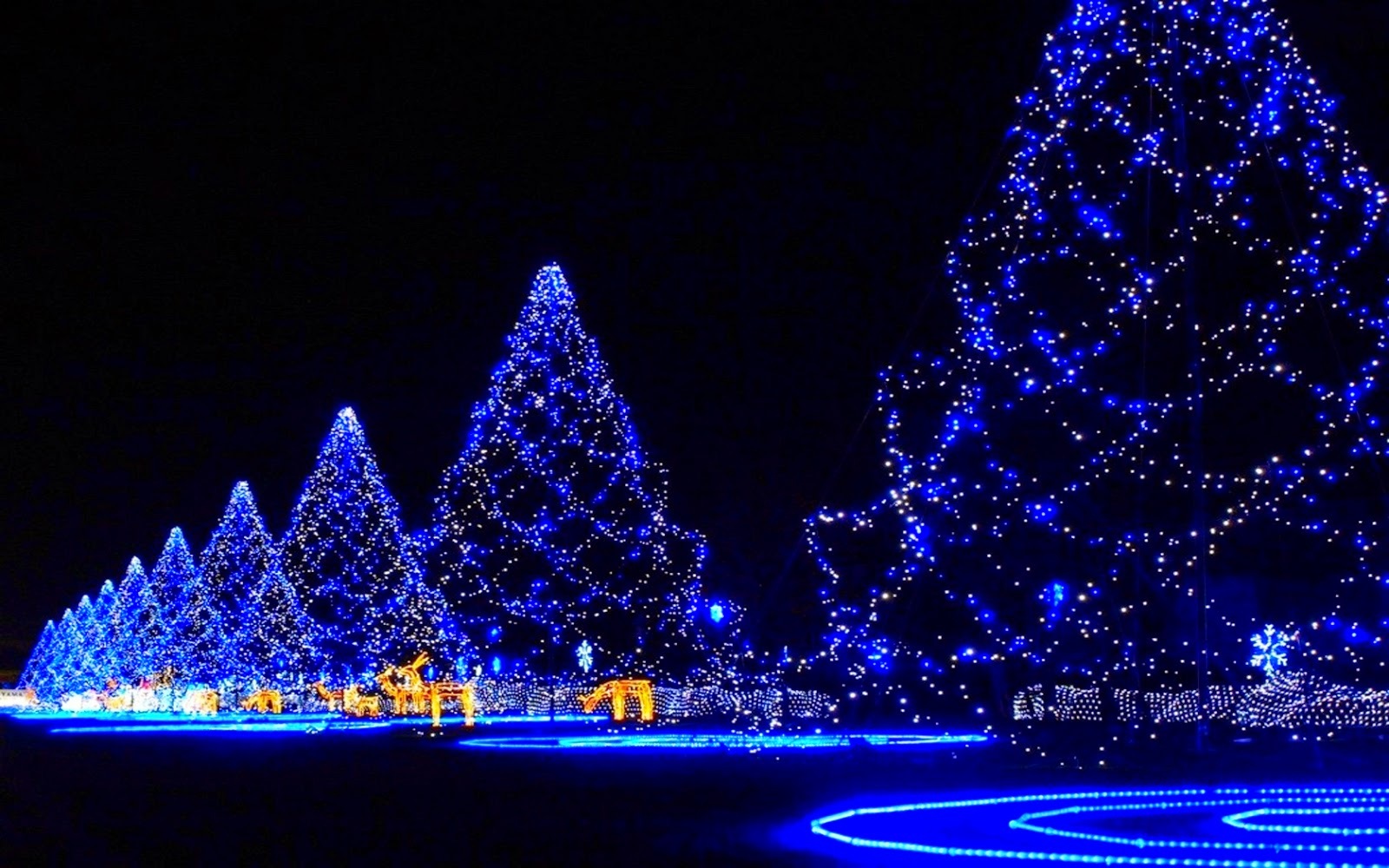 Seasonal Christmas Xmas Vibrant Blue LED Lights Trees Modern