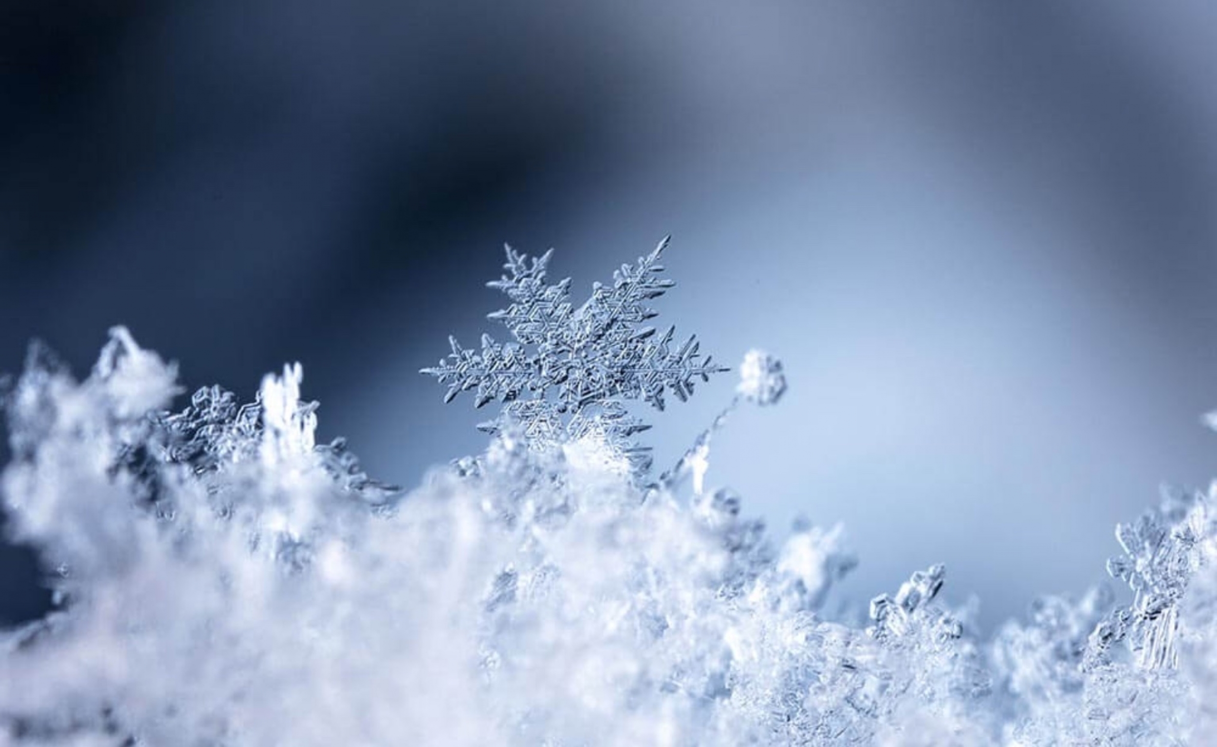 Snow ❄️ Flake Snowflake Christmas Close Up Xmas 2024 2025