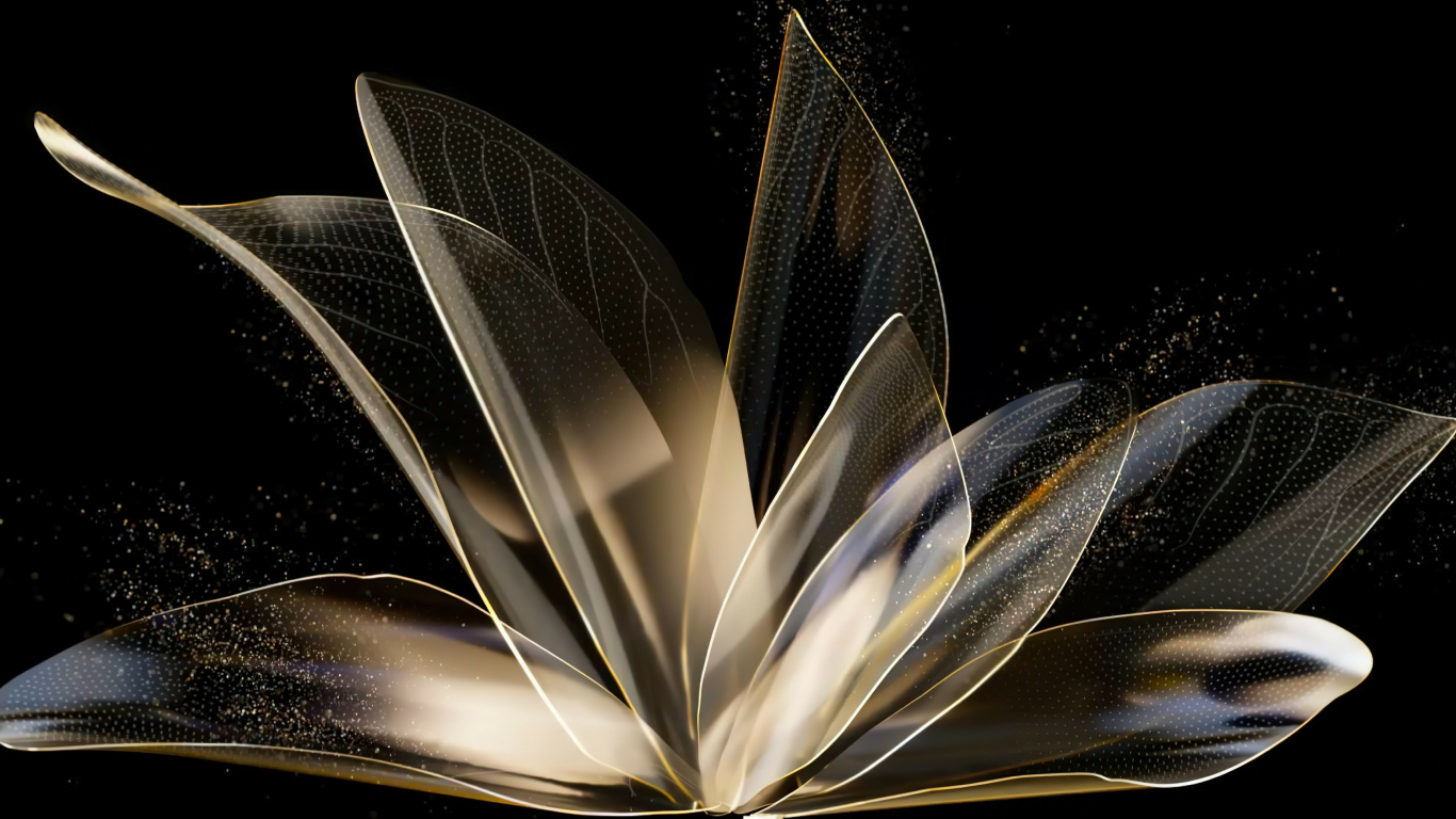 Xiaomi Stock Abstract Android 12 Semitransparent See Through Transparent Leaves Feathers Leaf