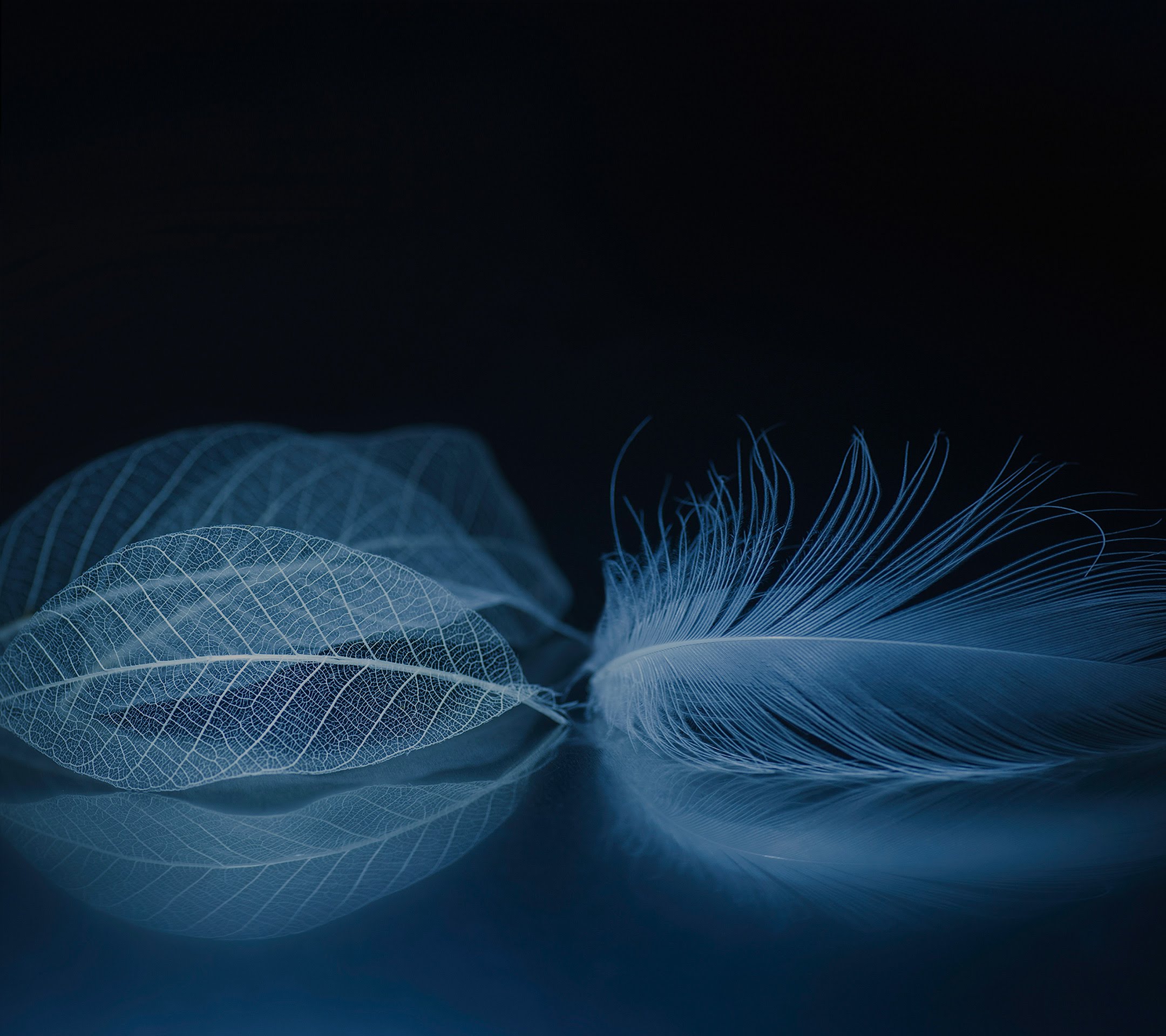 ZTE Axon M Stock Feathers