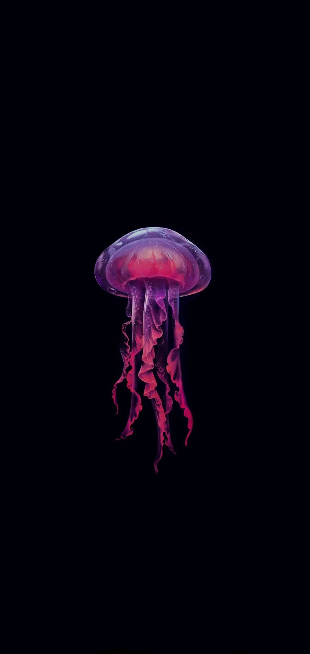 Pink Jellyfish